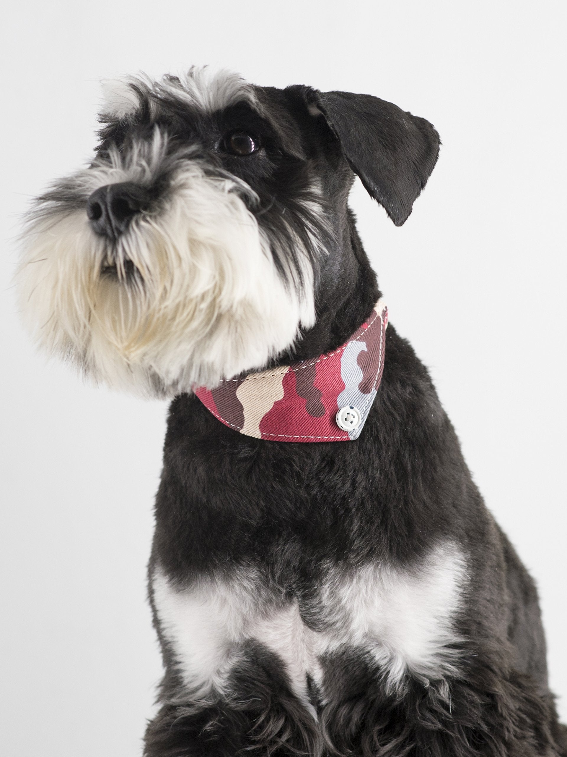 Gyapet Small Dog Collar Puppy Cat Tiny Pet Bow Tie & Bandana 2Pcs Set Pu Leather Canvas Scarf Durable Camo-Red