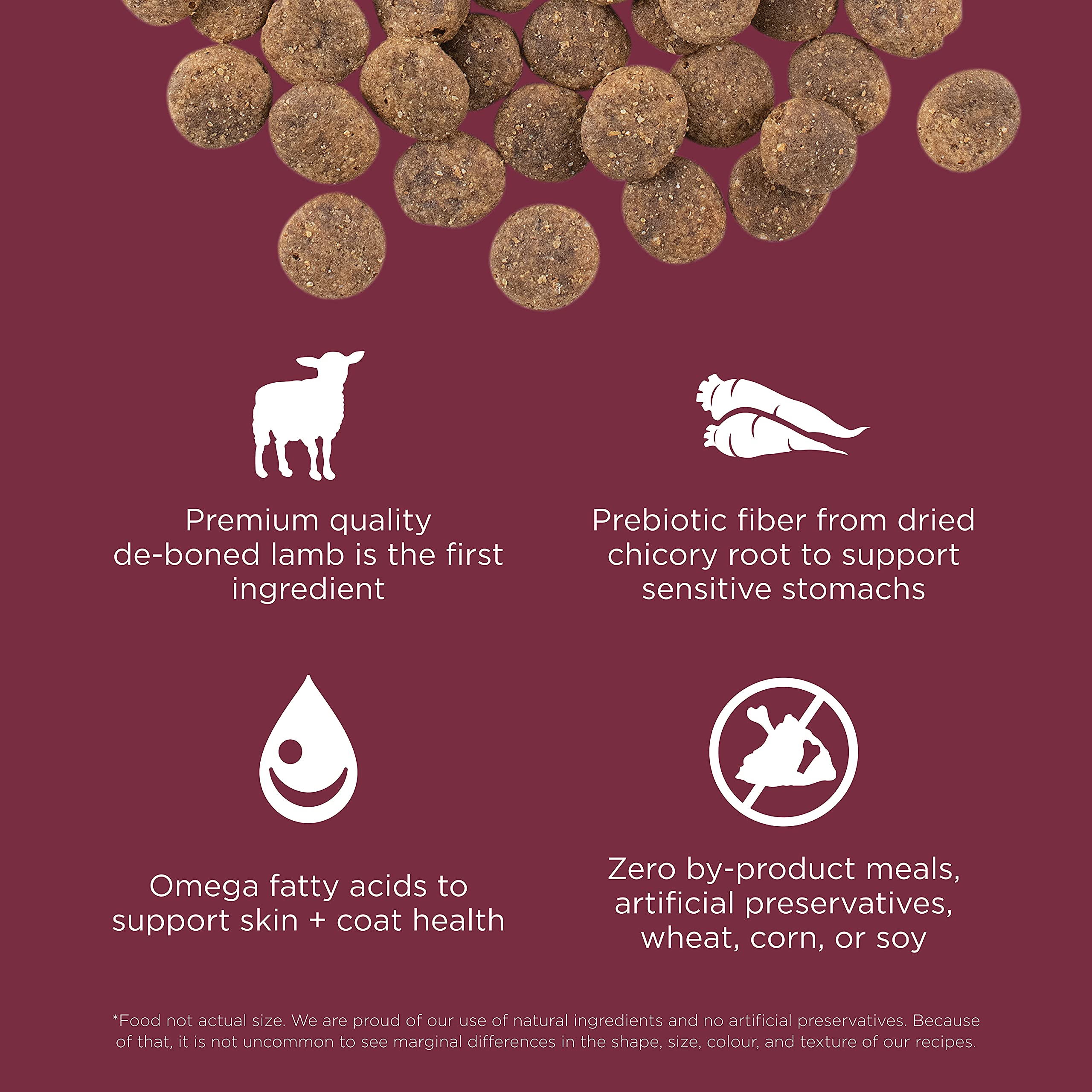 Go! Solutions Sensitivities Limited Ingredient, Grain-Free Dry Dog Food, Lamb Recipe for Sensitive Stomach, 3.5 lb Bag