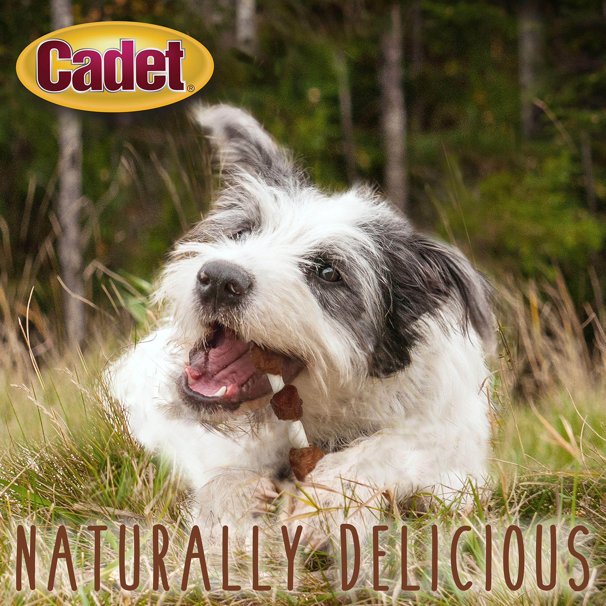 Cadet Gourmet Shish Kabob Dog Chews for Small Dogs, Rawhide Treats with Chicken, Duck and Sweet Potato, Healthy & Natural Beef H