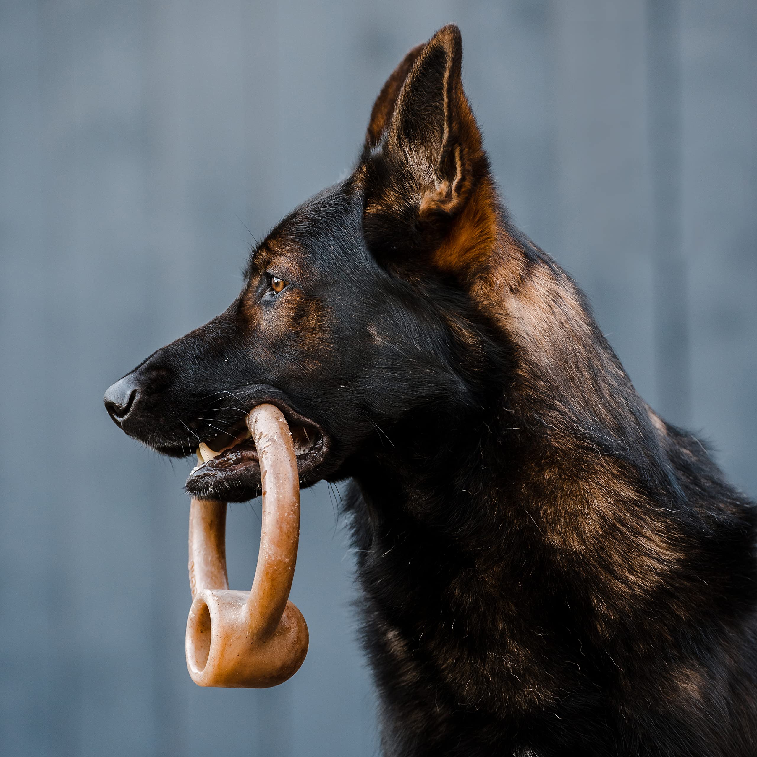 Lumabone Ring Stuffer Durable Chew Toy For Aggressive Chewers, Real Bacon, Made In Usa, Large