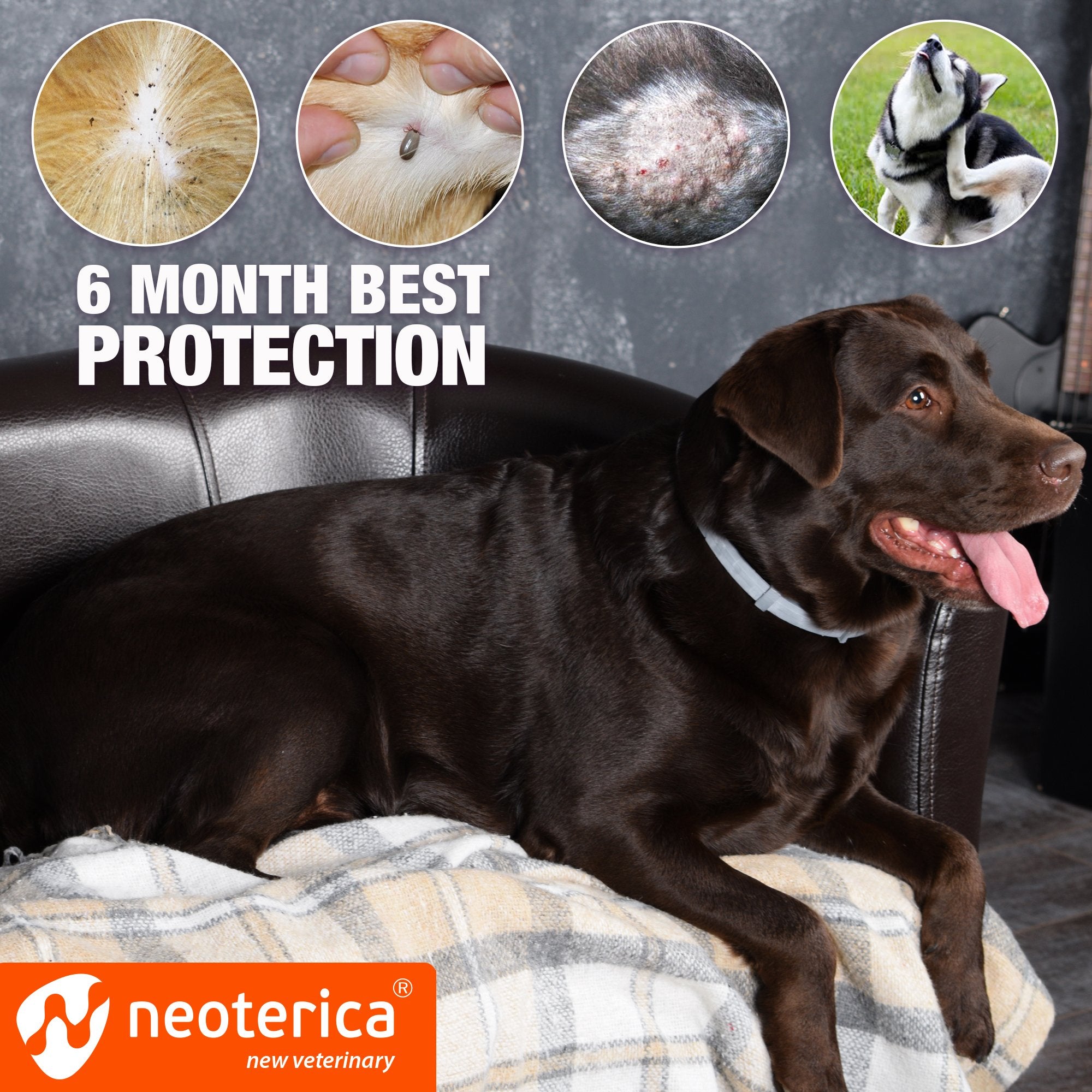Natural Flea & Tick Collar for Dogs - 6 Months Control of Best Prevention & Safe Treatment - Anti Fleas and Ticks Essential Oil Repellent (1 Count (Pack of 1)) -Like New