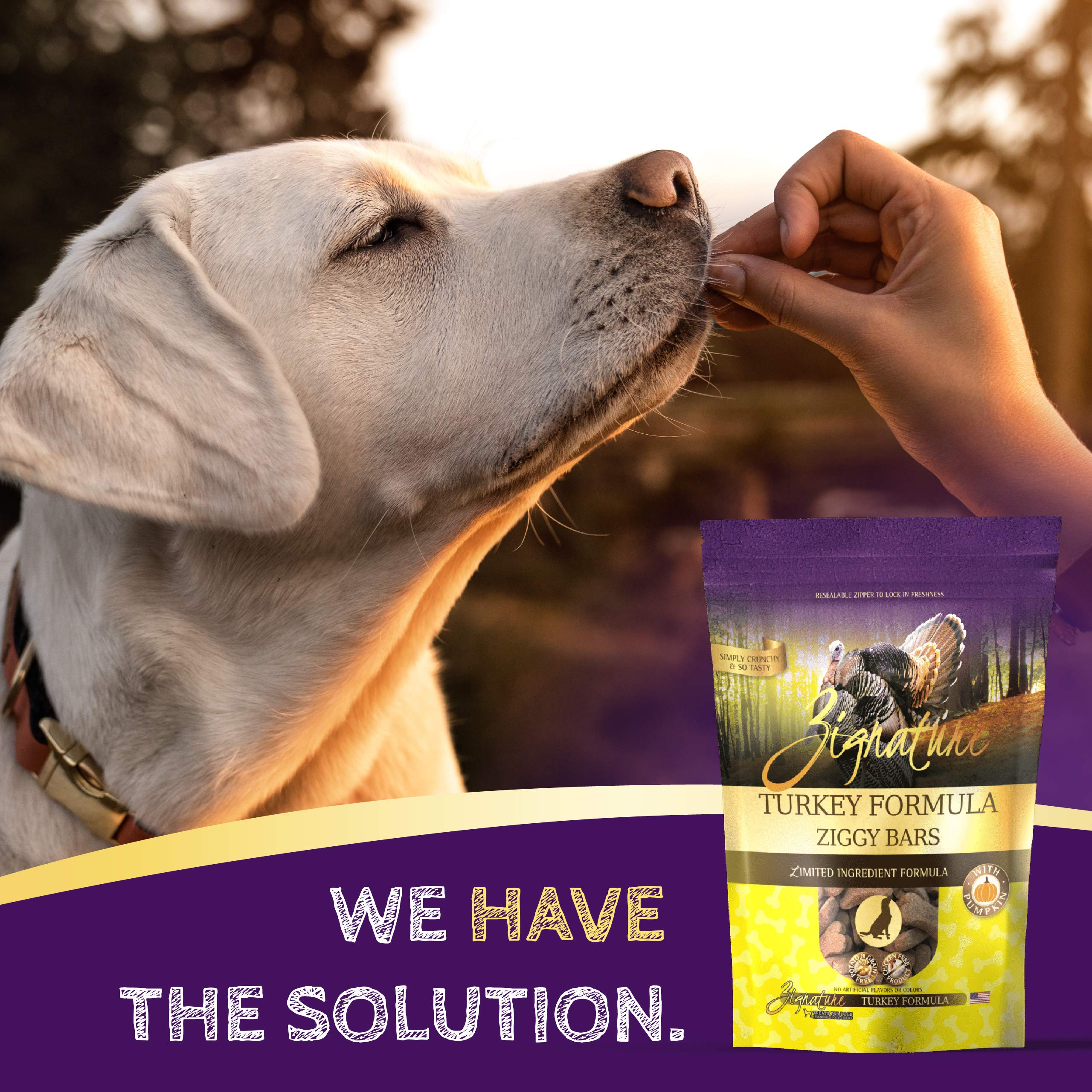 Zignature Turkey Limited Ingredient Formula Biscuit Dog Treats 12oz