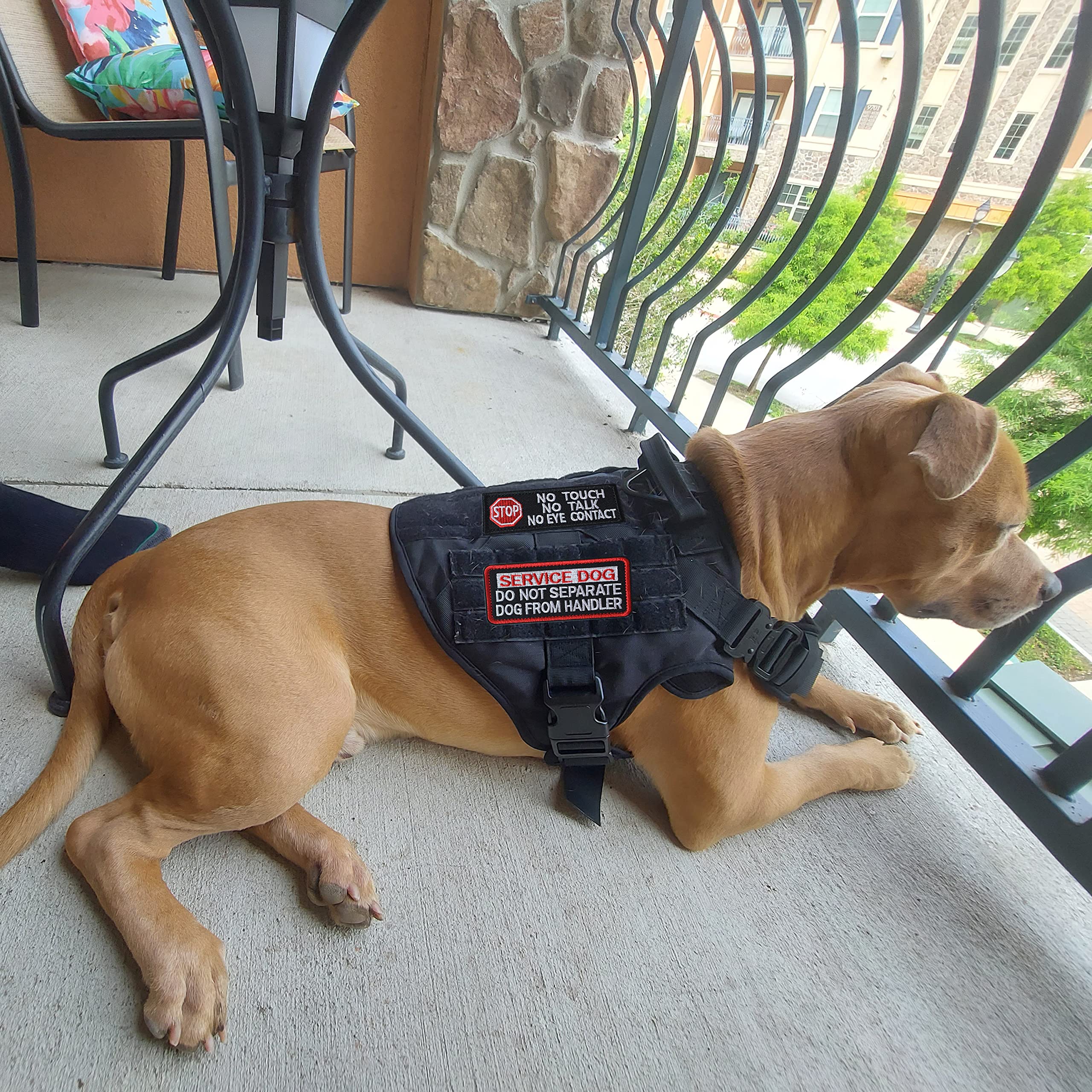 J.Carp 2 Pieces If You Can Read This You Are Too Damn Close Patch, Service Dog Do Not Separate Dog From Handler Patch Full Embro