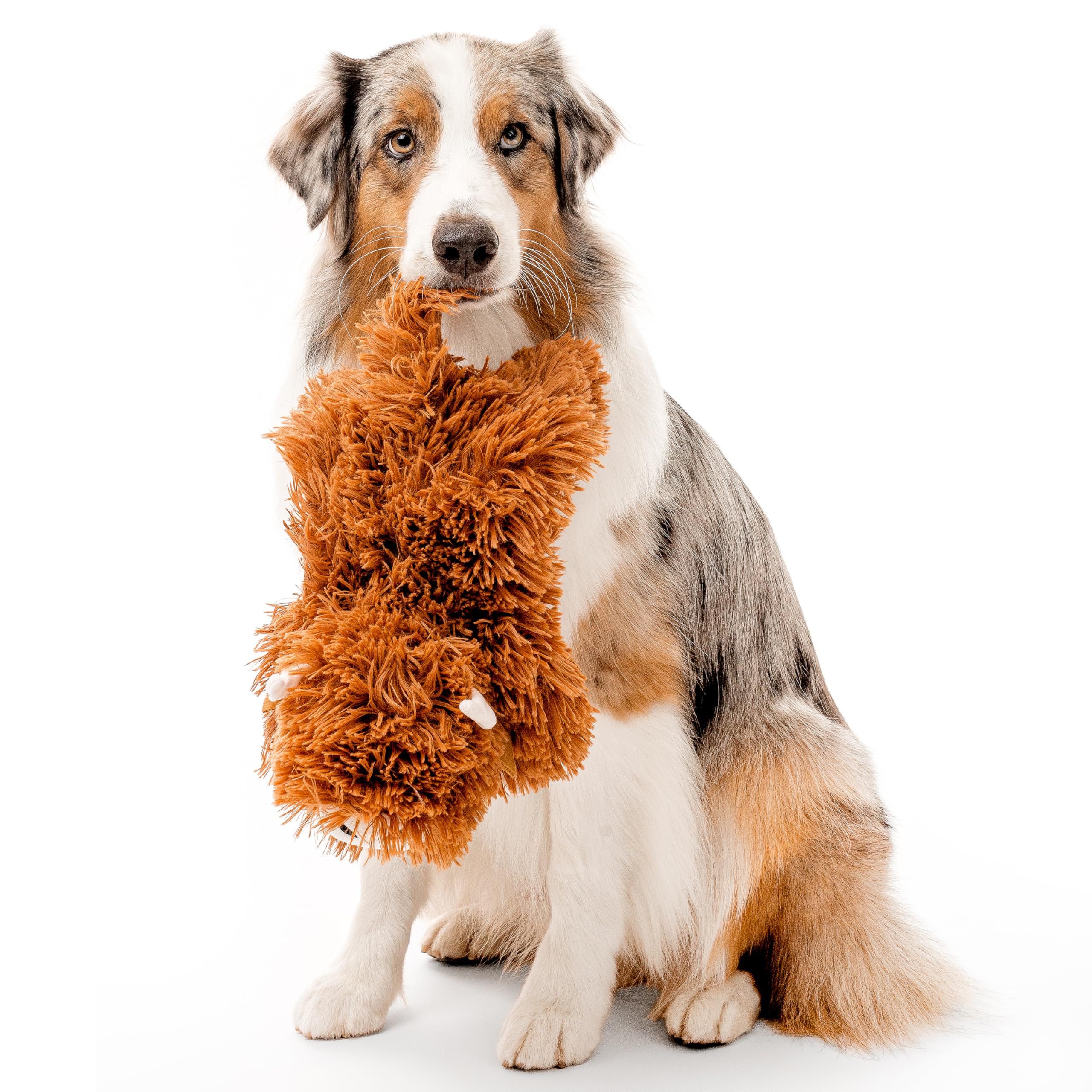 Playology Plush Toys for Dogs | Stuffed Animal Highland Cow| Beef Scented for Large Dogs