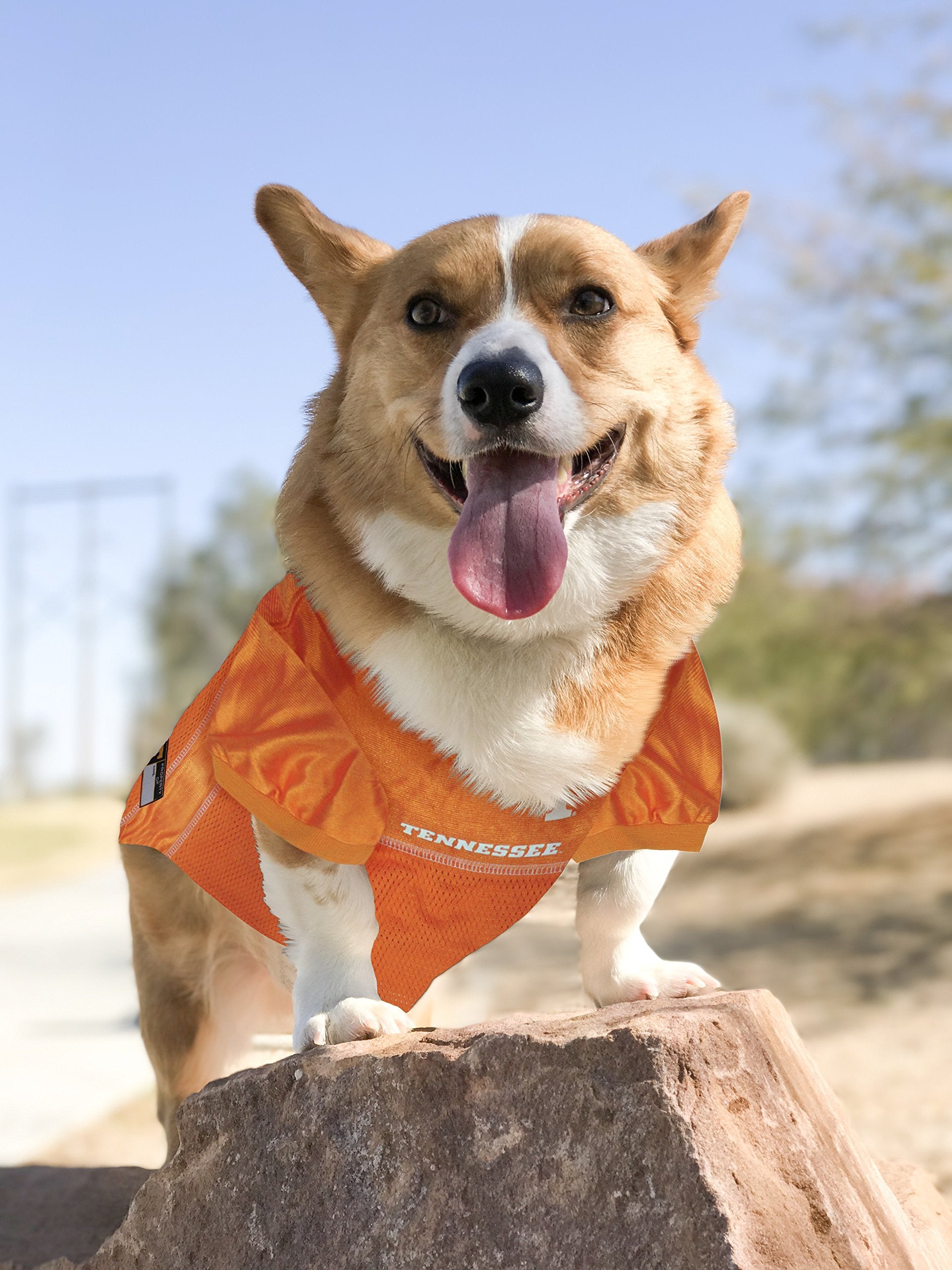 Pets First NCAA TENNESSEE VOLUNTEERS DOG Jersey, Large. BEST Football/Basketball Pet Outfit for the die-hard fans of the TENNESS