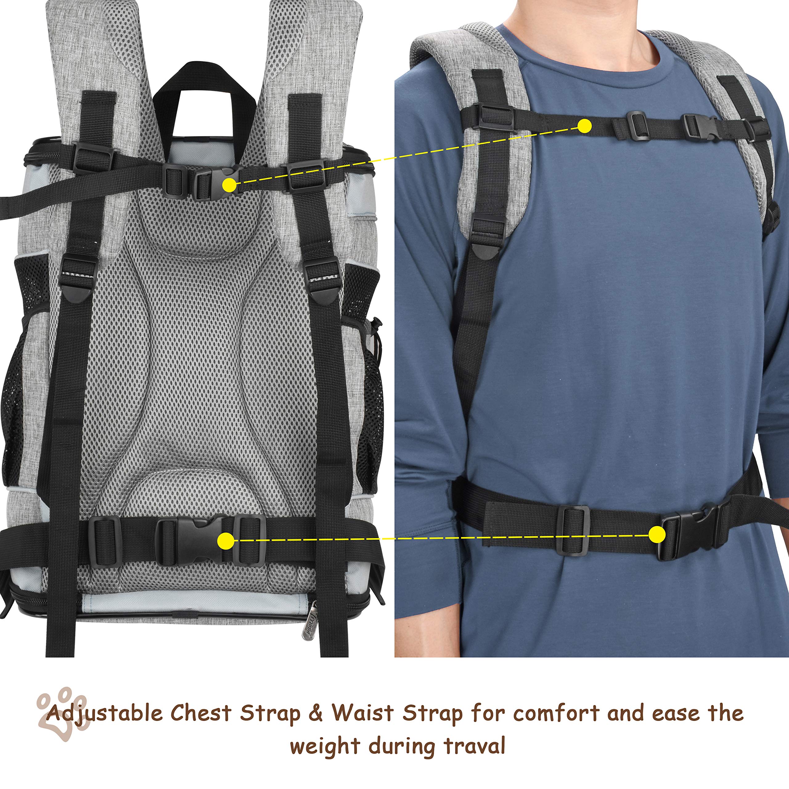 Solaris Adjustable Pet Carrier Backpack For Dogs And Cats, Puppies, Portable Cat Carrier Backpack With Bottle Pocket, Two Mesh Window For Breath