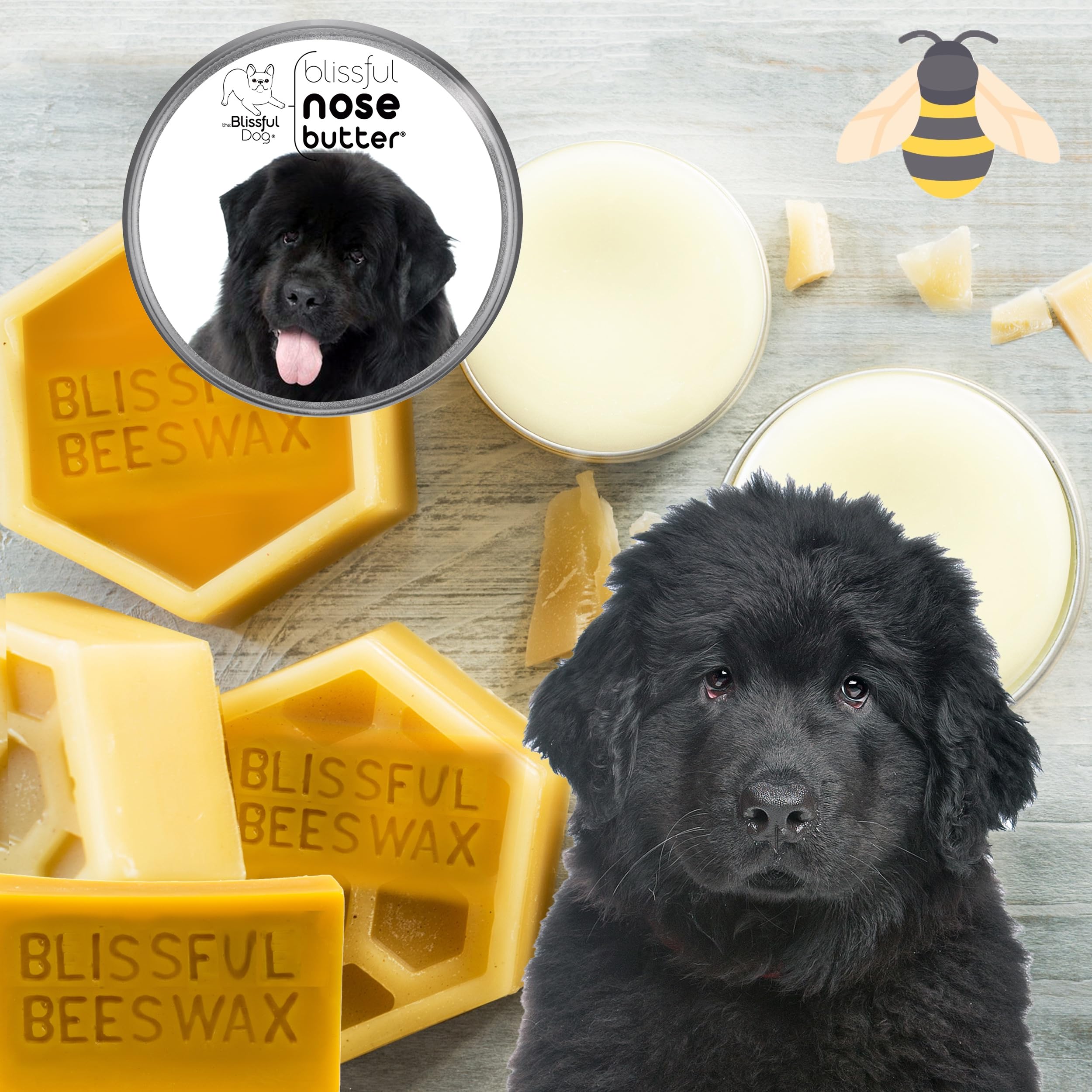 The Blissful Dog Newfoundland Nose Butter, Versatile Dog Nose Balm for Dry Nose, Handcrafted Nose Moisturizer, Easy-to-Apply Dog