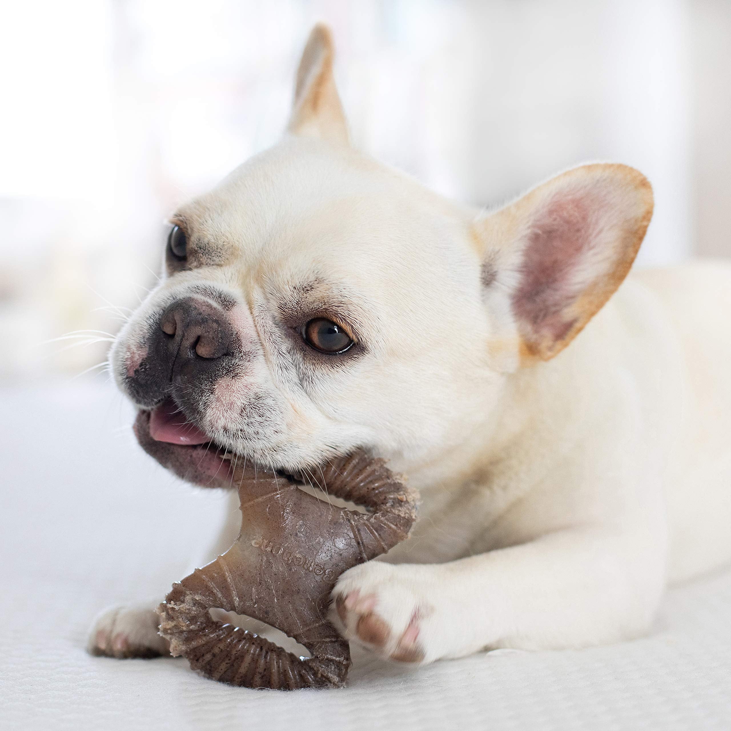 Benebone Tiny 2-Pack Dog Chew Toys, Made In Usa, Real Bacon Flavor, Small