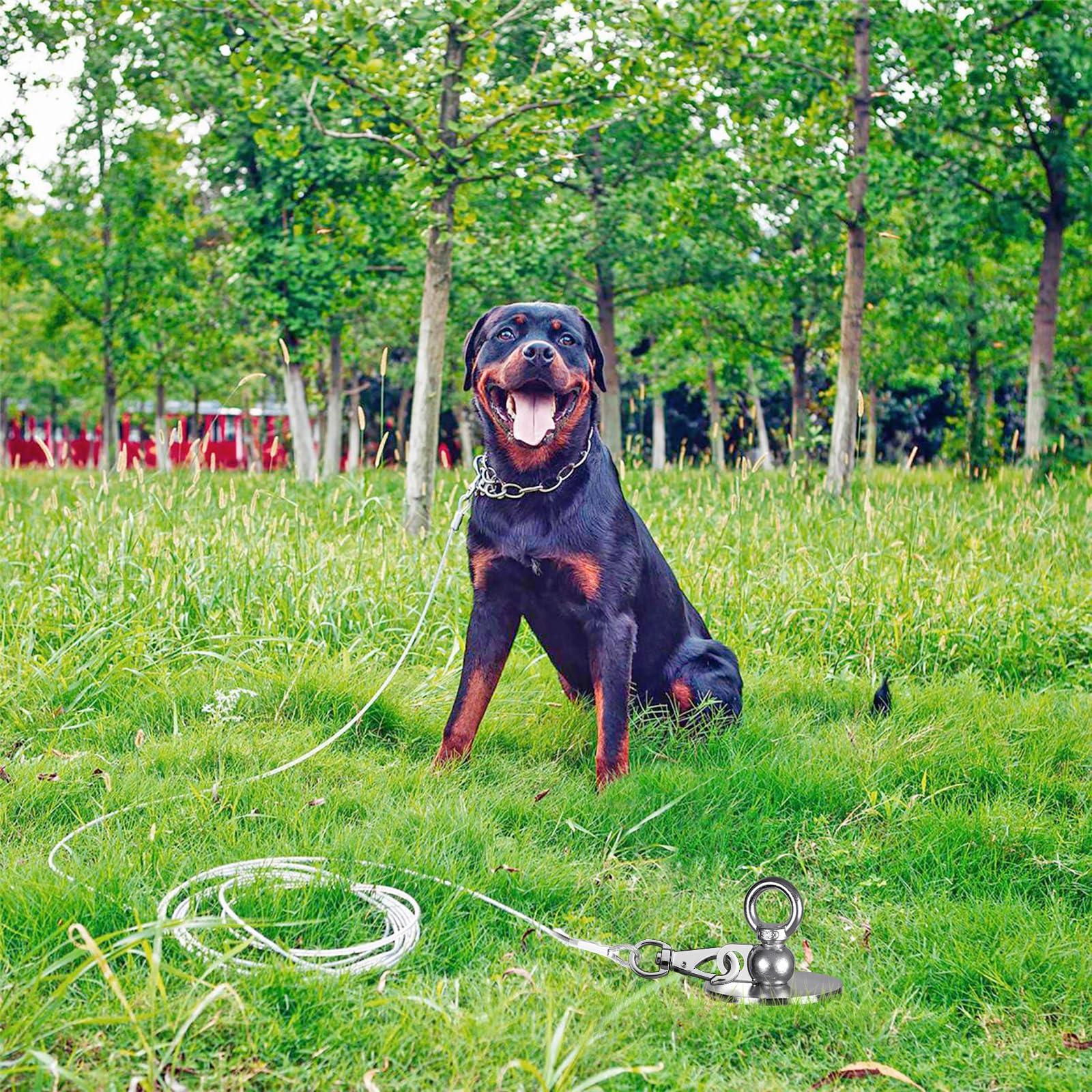 Lifeswell Heavy Duty Dog Tie Out Stake, 15'' Dog Anchor, 360 Swivel, No Tangle, Easy Install, For Large Dogs Up To 220Lbs, Perfe