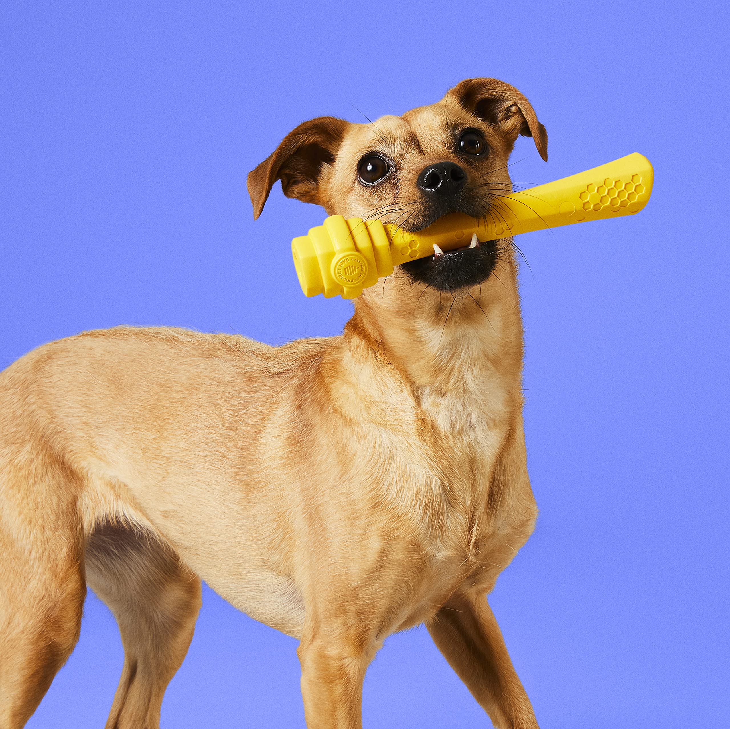 Project Hive Pet Company - Hive Dog Fetch Stick For Large Breeds - Dog Stick Toy - Floats In Water - Treat Dispenser Toy - Durab