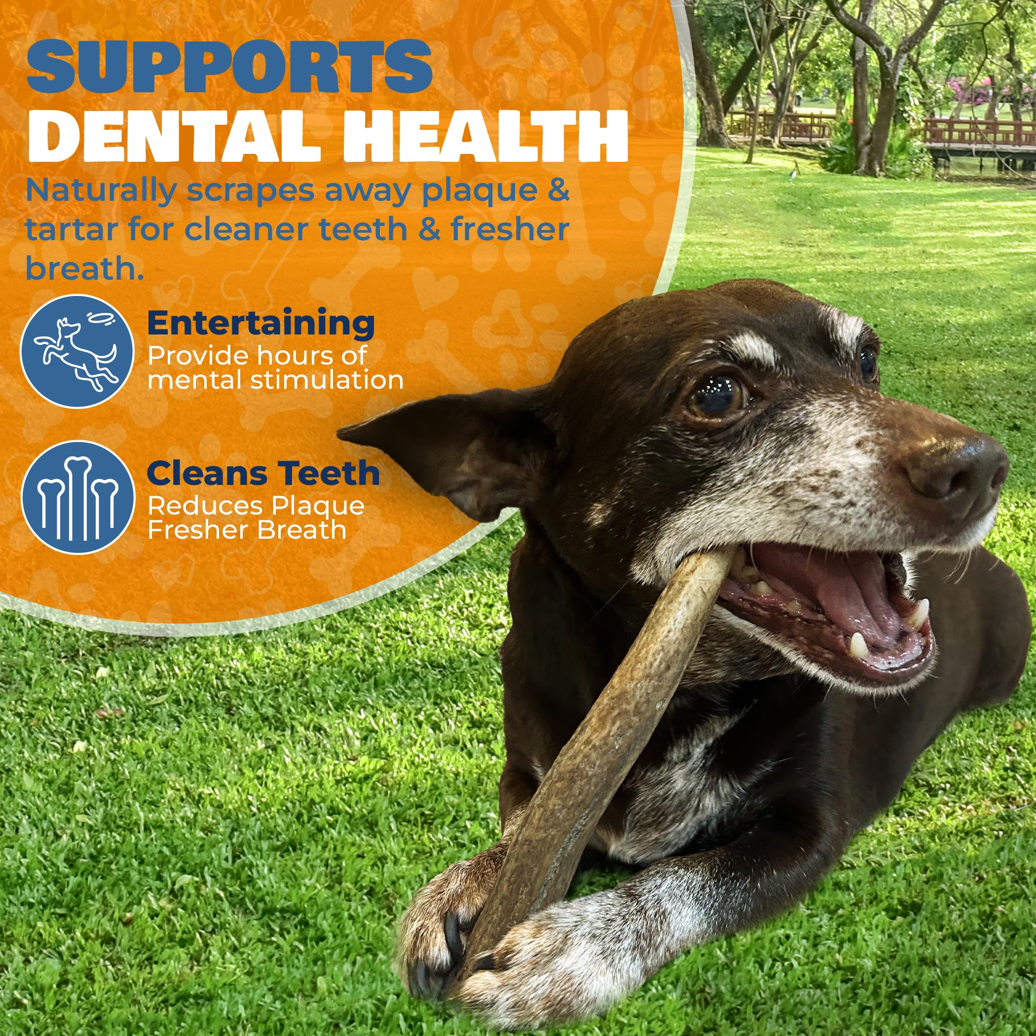 K9warehouse Natural Split Elk Antlers for Dogs - Premium Grade Dog Antler Chews - Long-Lasting Deer Antles Ideal for Aggressive