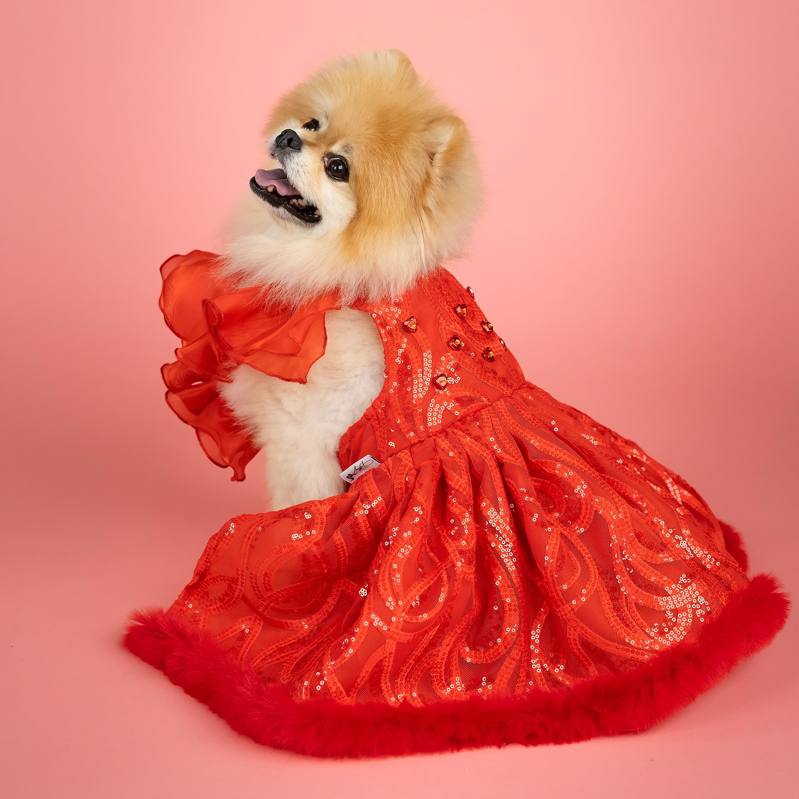 Doggy Parton Evening Star Gown - Xs