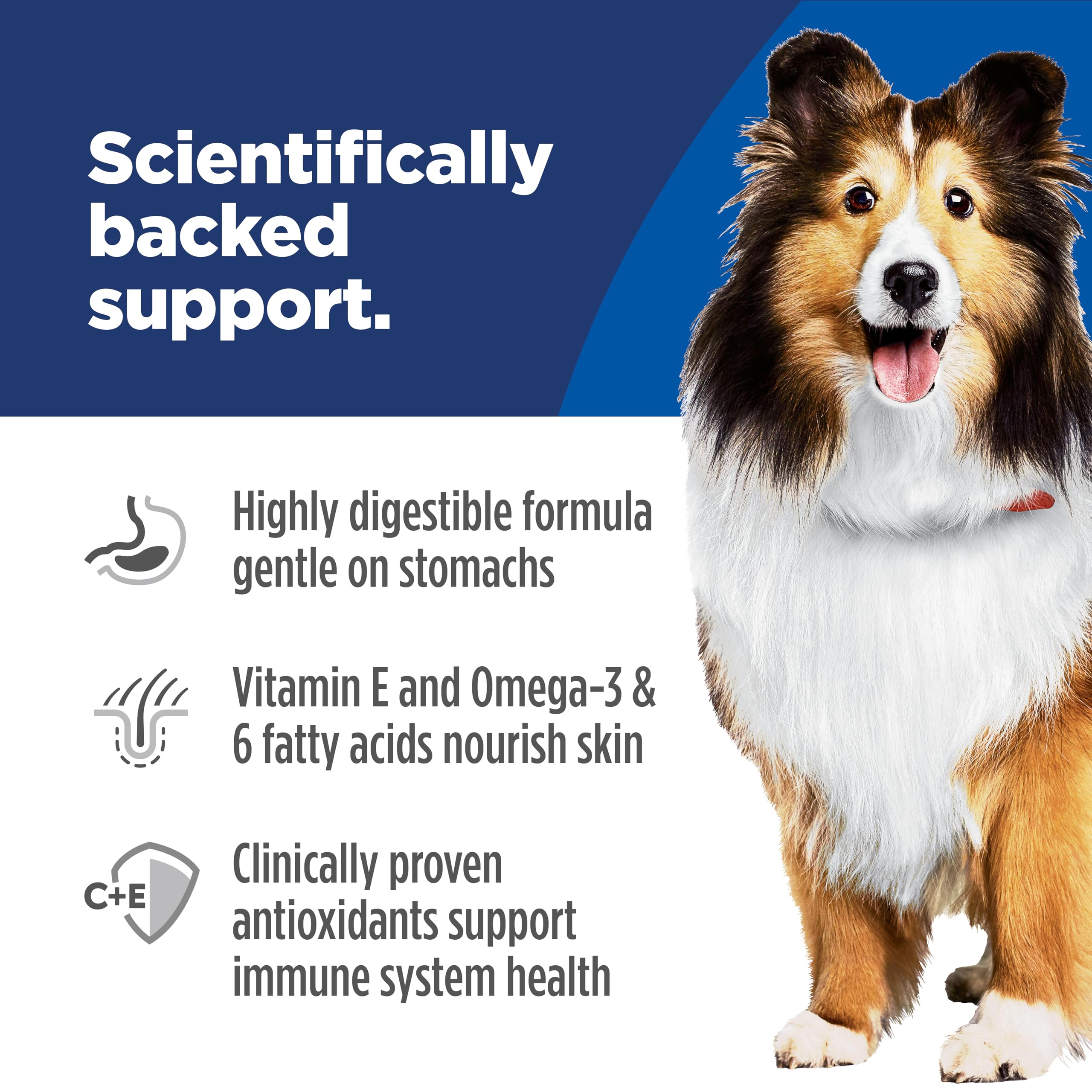 Hills Science Diet Sensitive Stomach & Skin, Adult 1-6, Stomach & Skin Sensitivity Support, Wet Dog Food, Tender Chicken & Vege