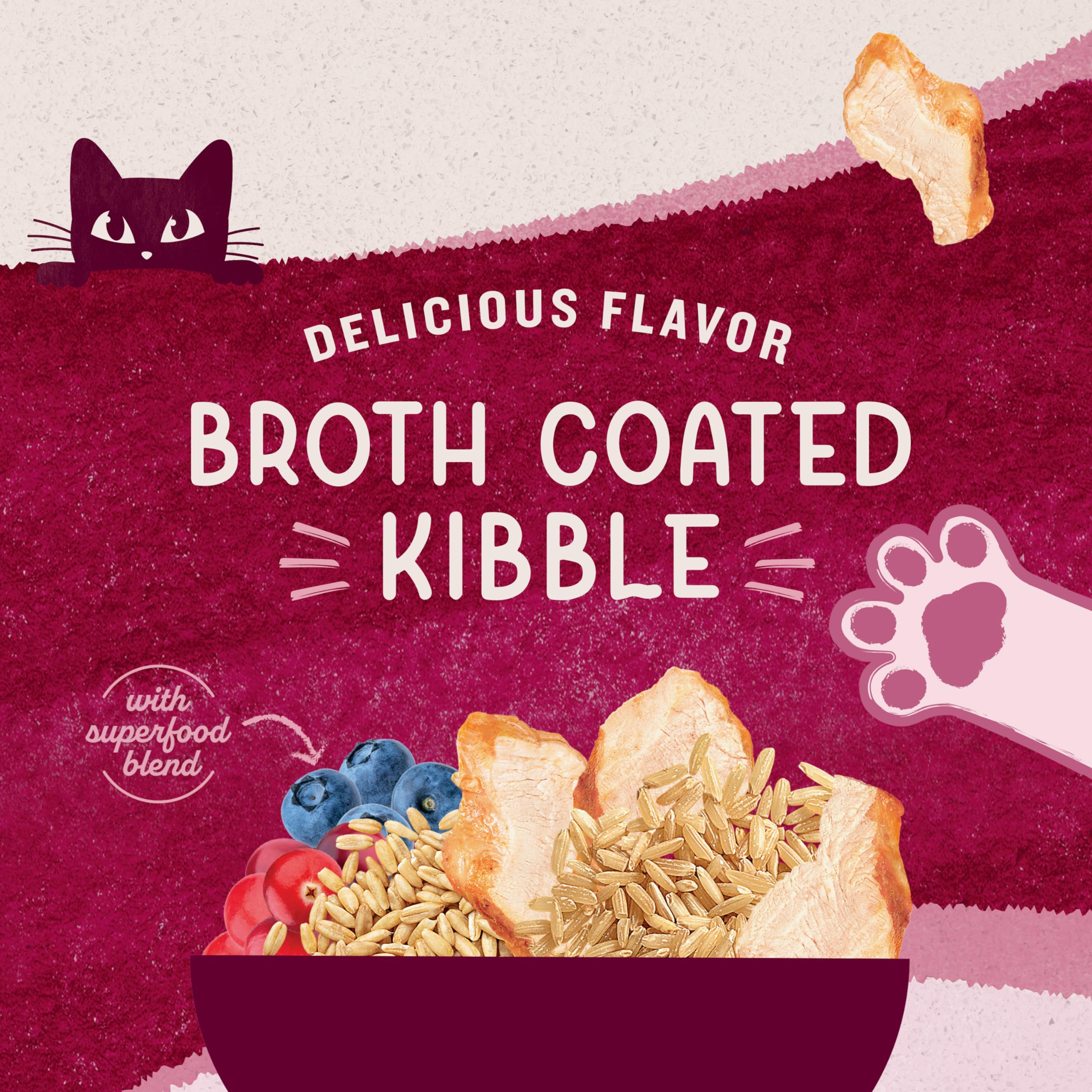 Natural Balance Original Ultra Dry Cat Food, Chicken Meal & Salmon Meal Recipe, Whole Body Health for Kittens to Adult Cats, 6 P