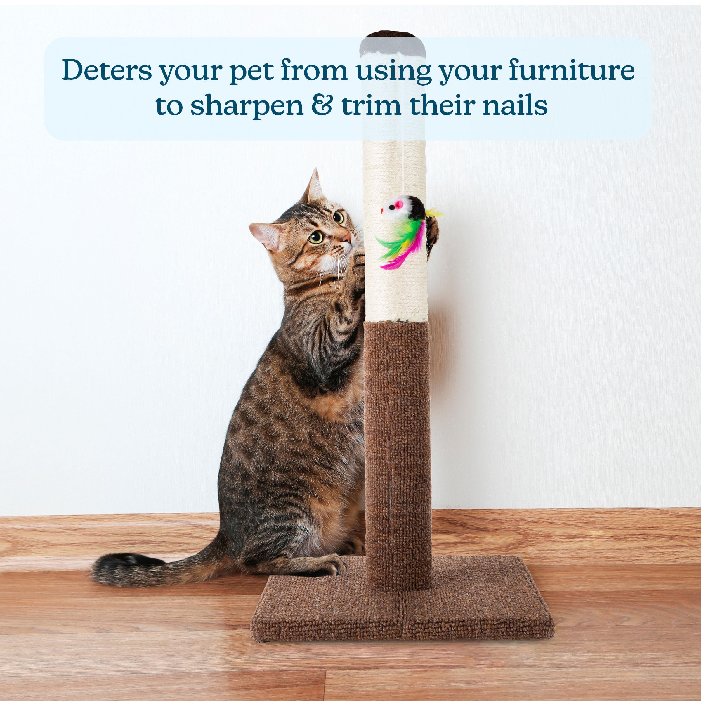 Petmaker Cat Scratching Post - Tall Scratcher For Cats And Kittens With Sisal Rope And Carpet, Hanging Mouse Toy For Interactive Play (24.5 Inch)