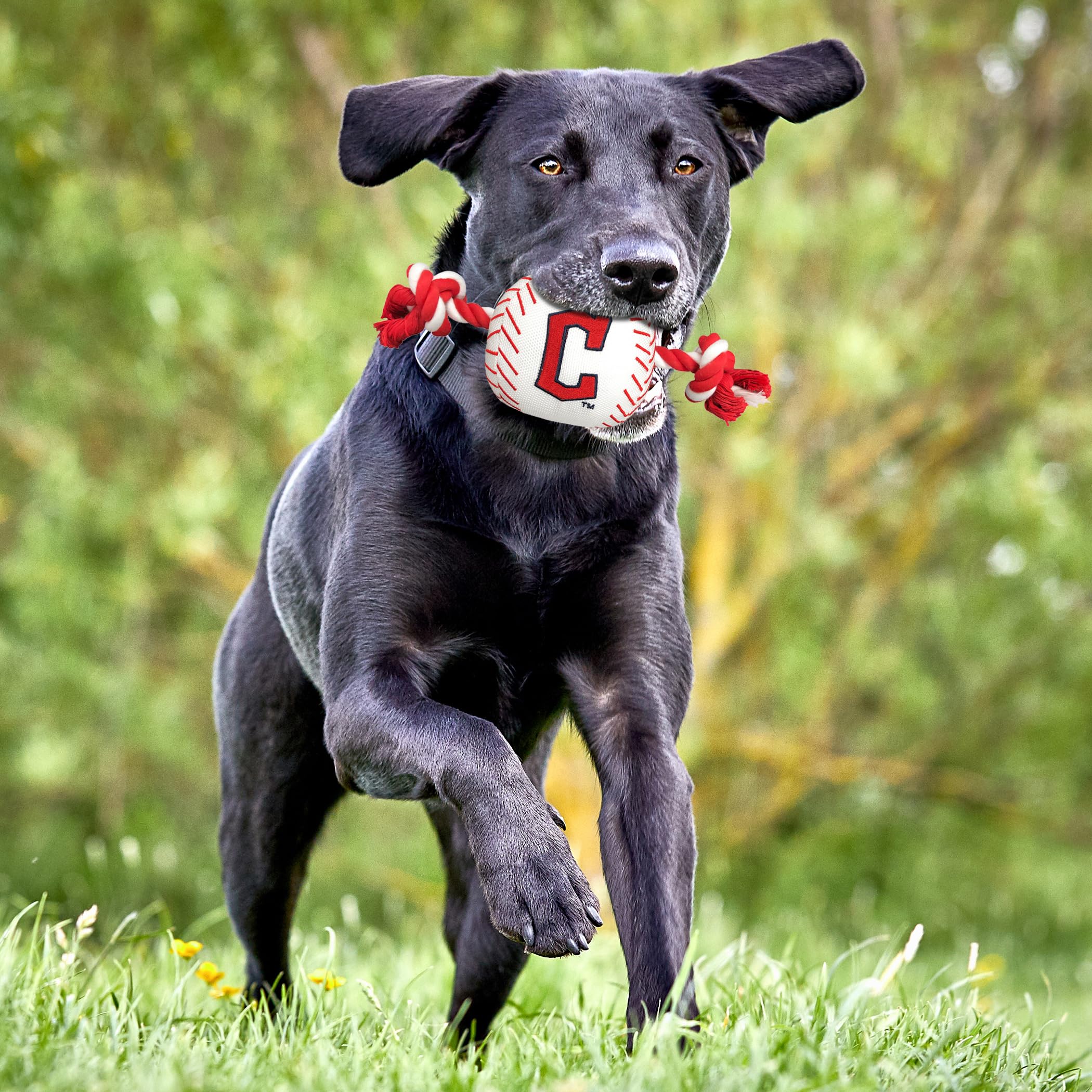 Pets First Mlb Cleveland Guardians Nylon Baseball Toy With Tug Ropes For Dogs & Cats. Tough Nylon, Sporty Baseball Design, Heavy
