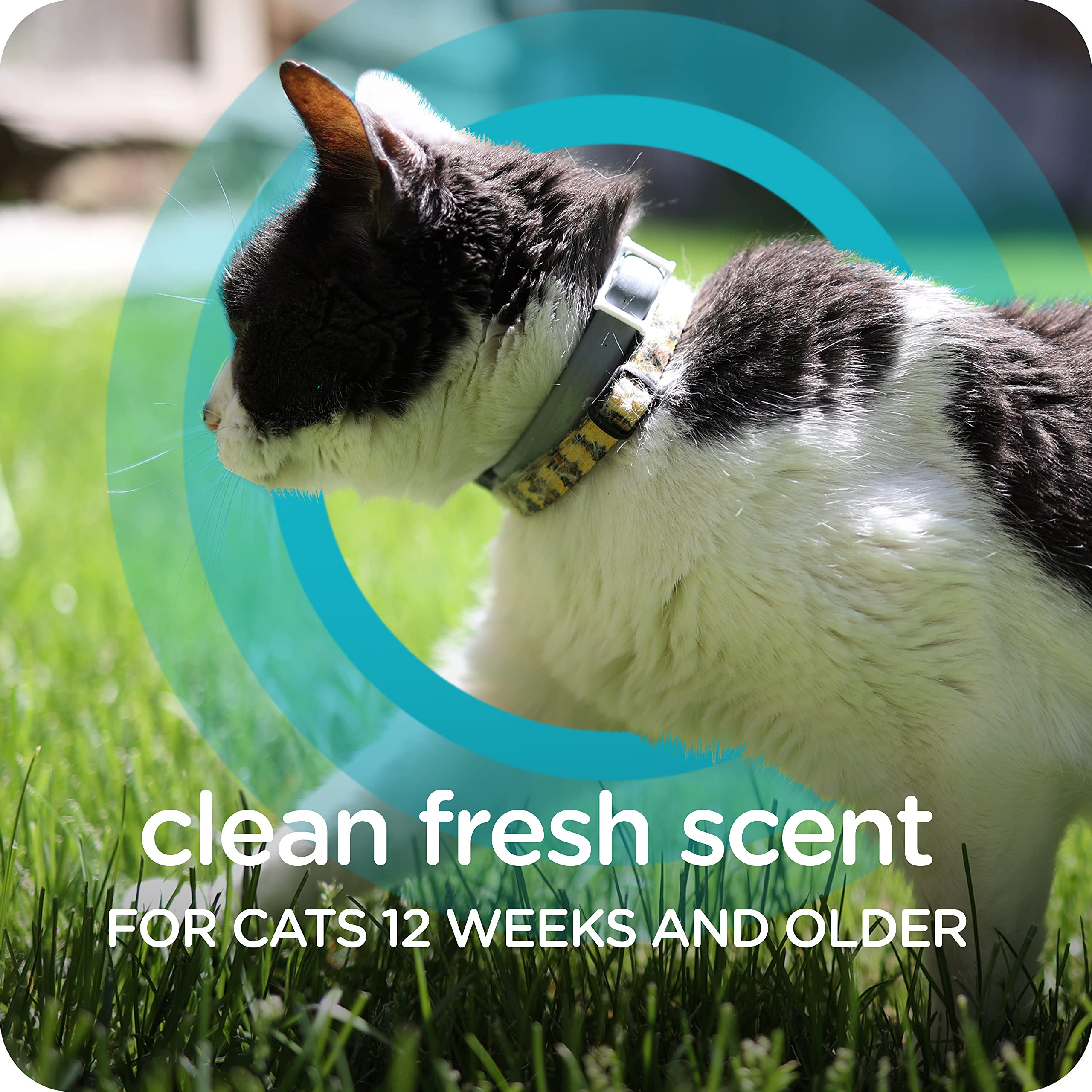 Sergeant'S Guardian Flea & Tick Cat Collar, 1 Count