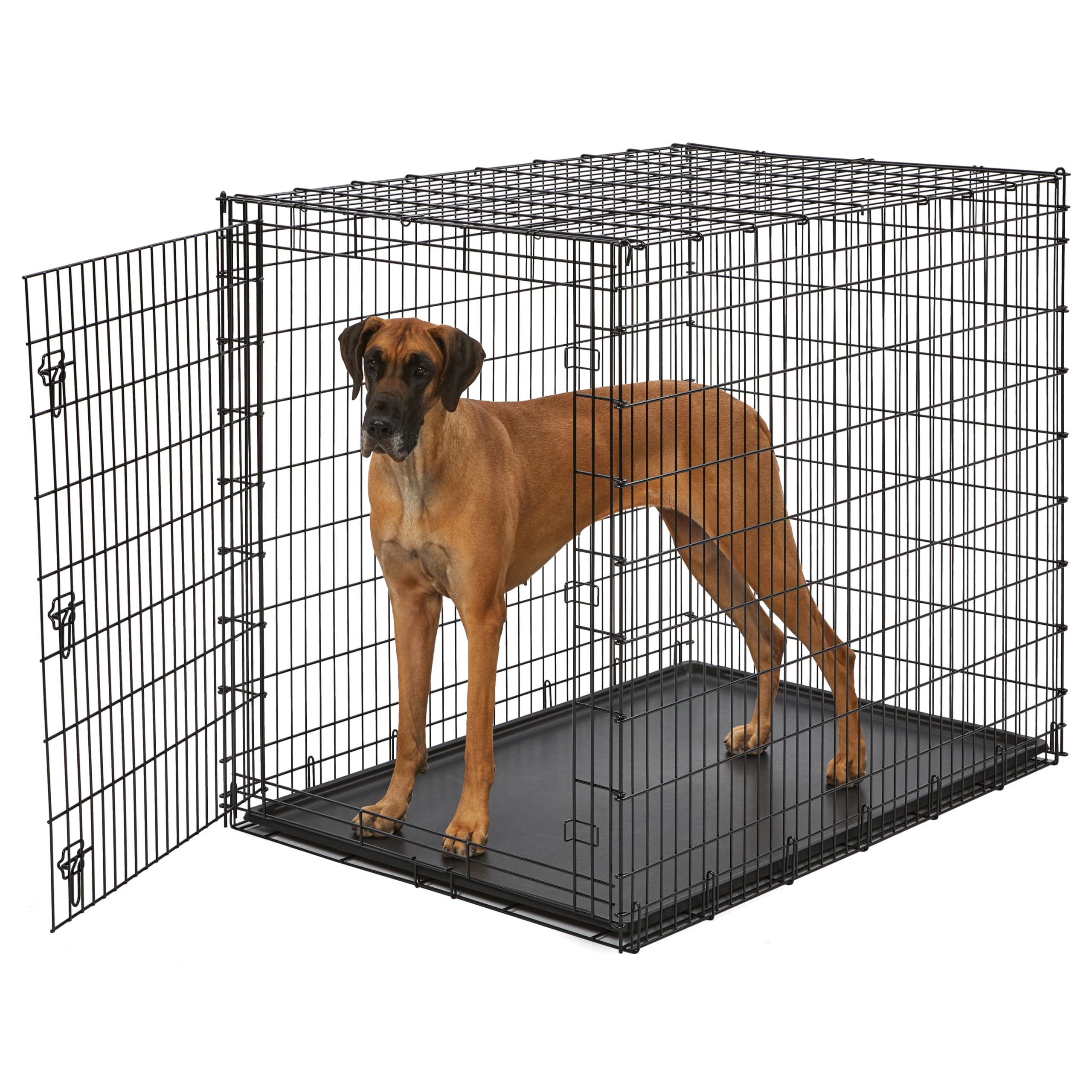 Midwest Homes For Pets Ginormous Single Door 54-Inch Dog Crate For Xxl Dogs Breeds; Great Dane, Mastiff, St. Bernard, Drop Pin A