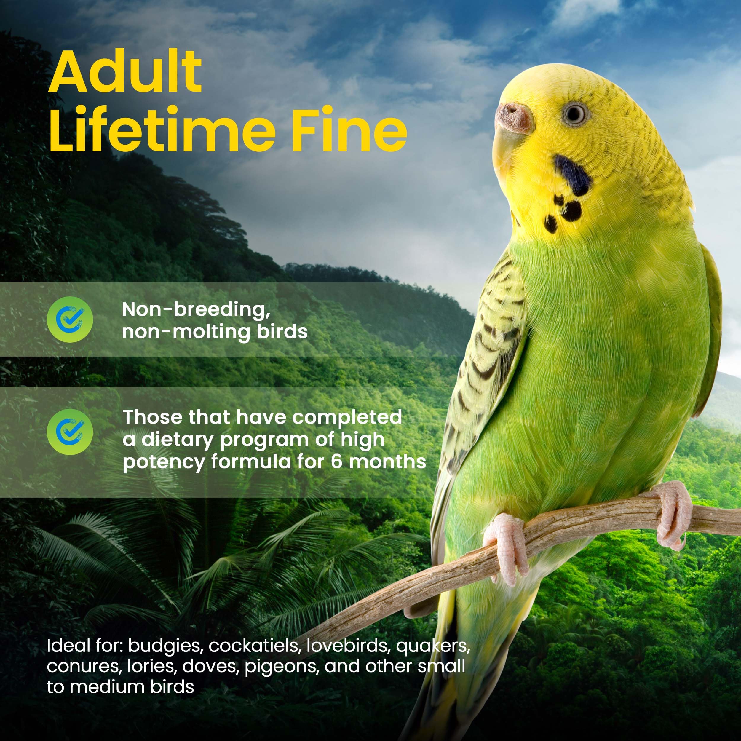 Harrisons Bird Foods Bird Food Adult Lifetime Fine Certified Organic Non-GMO Formula Bird Food 25lb
