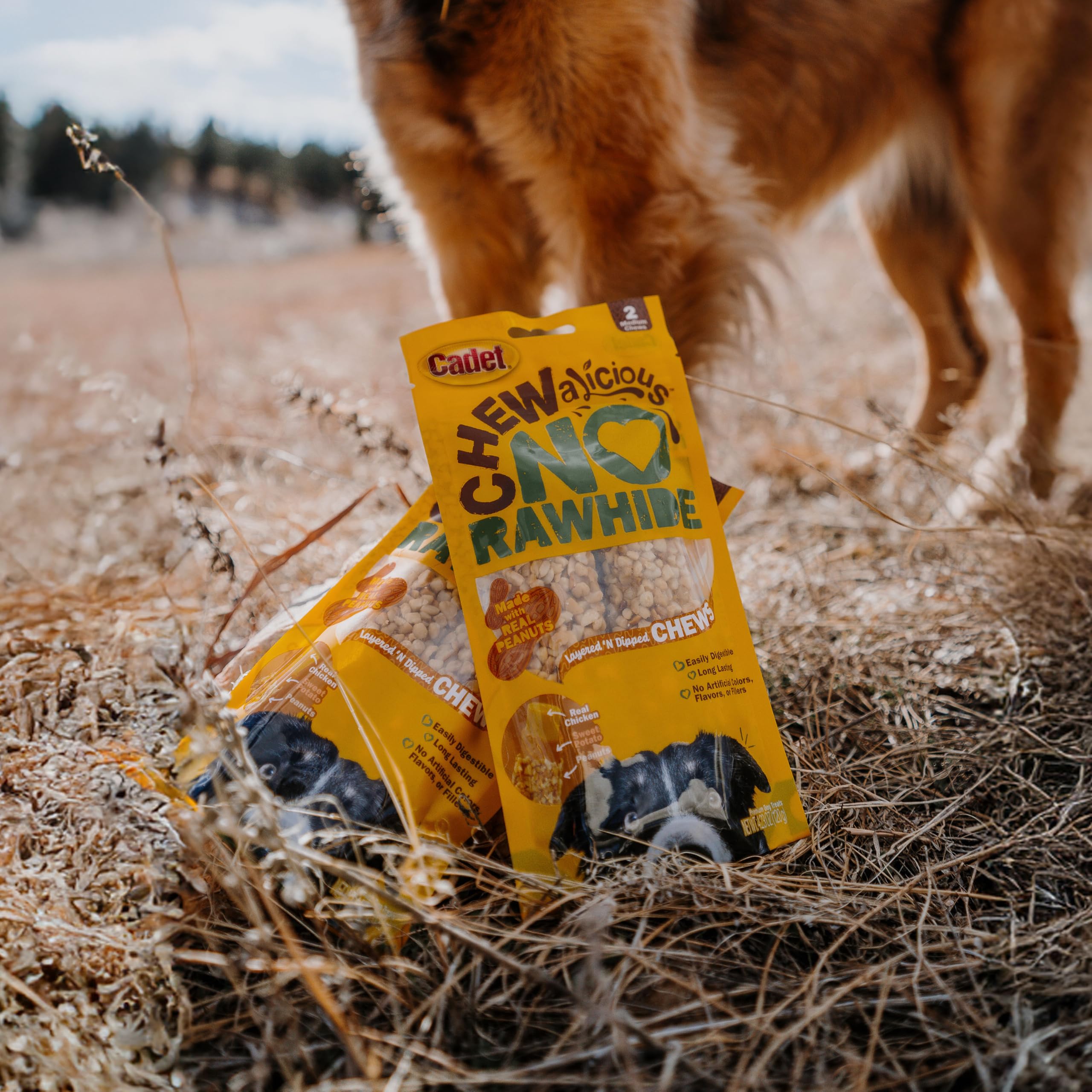 Cadet Chewalicious Layered N Dipped with Peanuts, Rawhide-Free Dog Chews, Limited-Ingredient & Long-Lasting Chew Treats for Dog