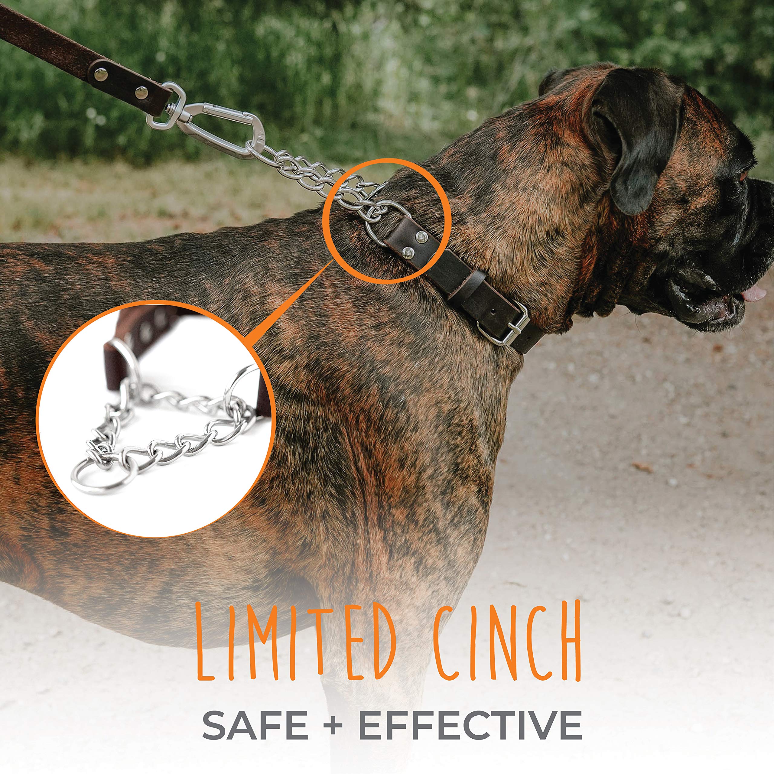 Mighty Paw Martingale Dog Collar - No Pull, Brown Leather, Medium Size, Stainless Steel Chain