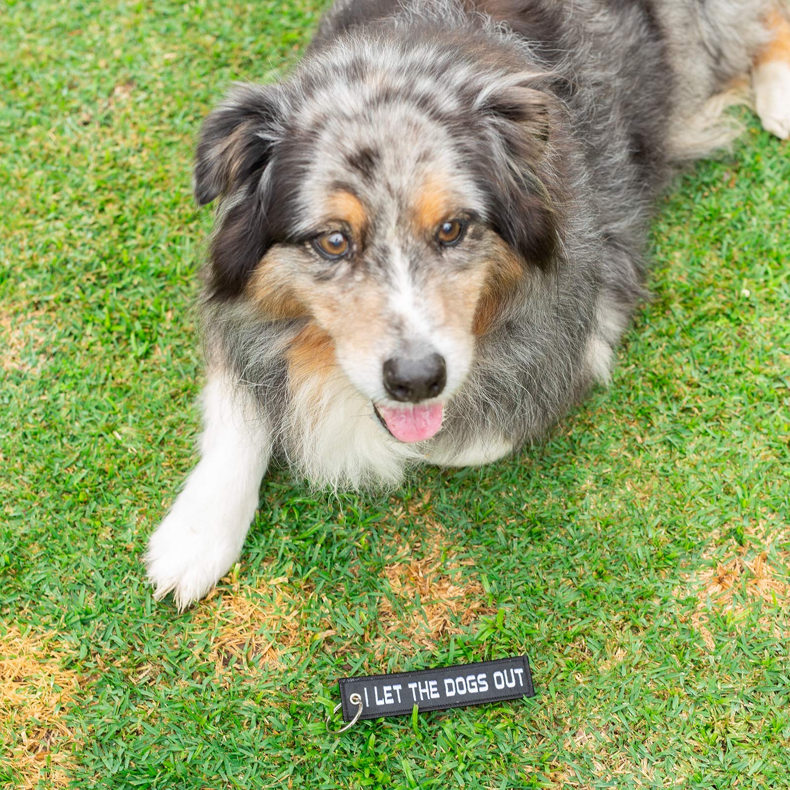 Motoloot Dog Keychain Pup Puppy Key Ring Tag For Keys, Gift, Present And Dog Lover (I Let The Dogs Out)