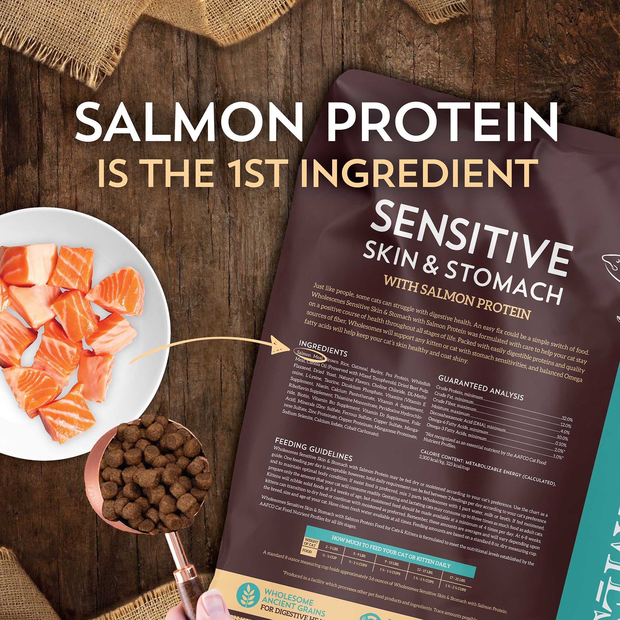 Wholesomes Sensitive Skin & Stomach with Salmon Protein & Ancient Grains Dry Food for Cats & Kittens (10 lb. Bag)