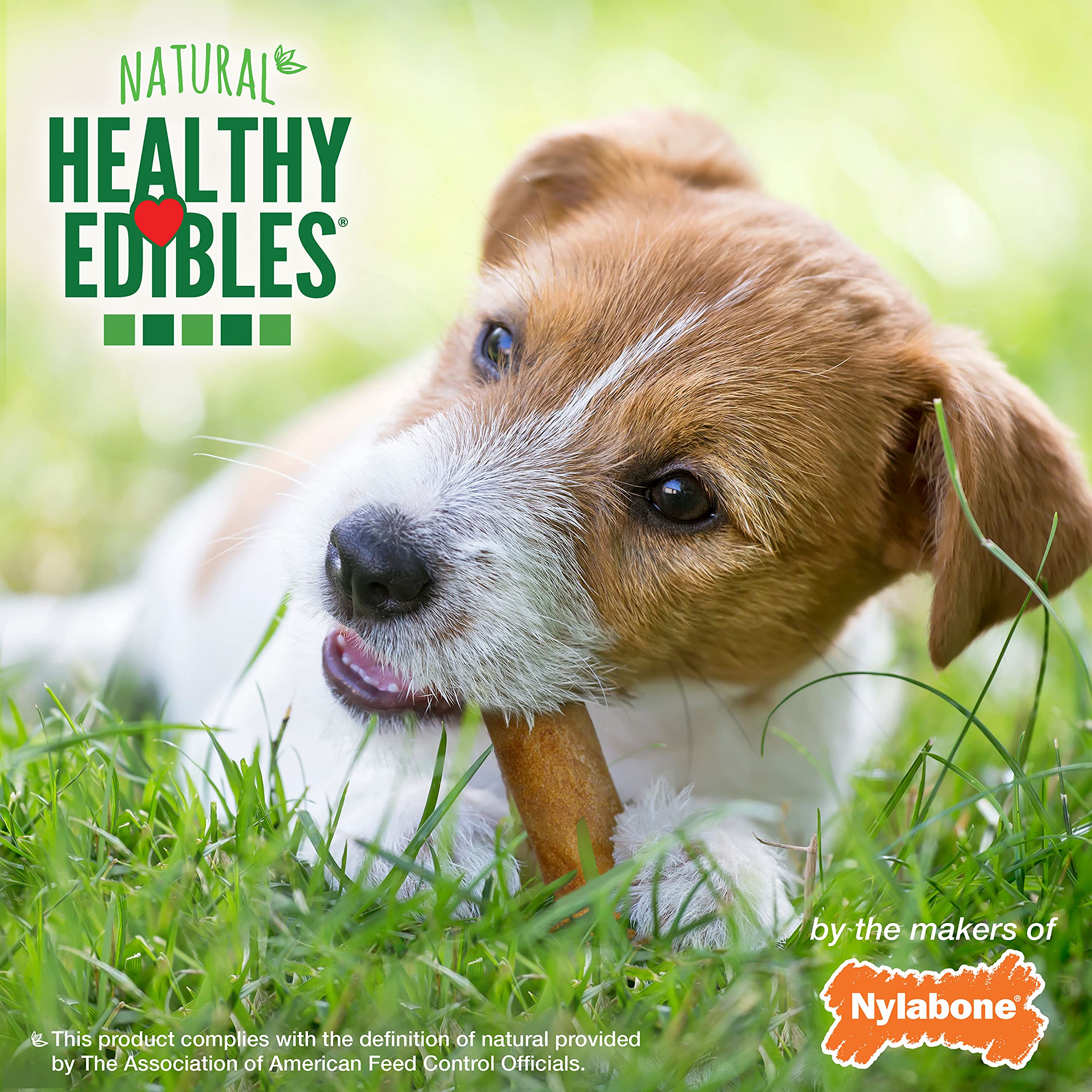 Nylabone Healthy Edibles Roast Beef Flavor Chew Treats for Dog 3 Count Small/Regular