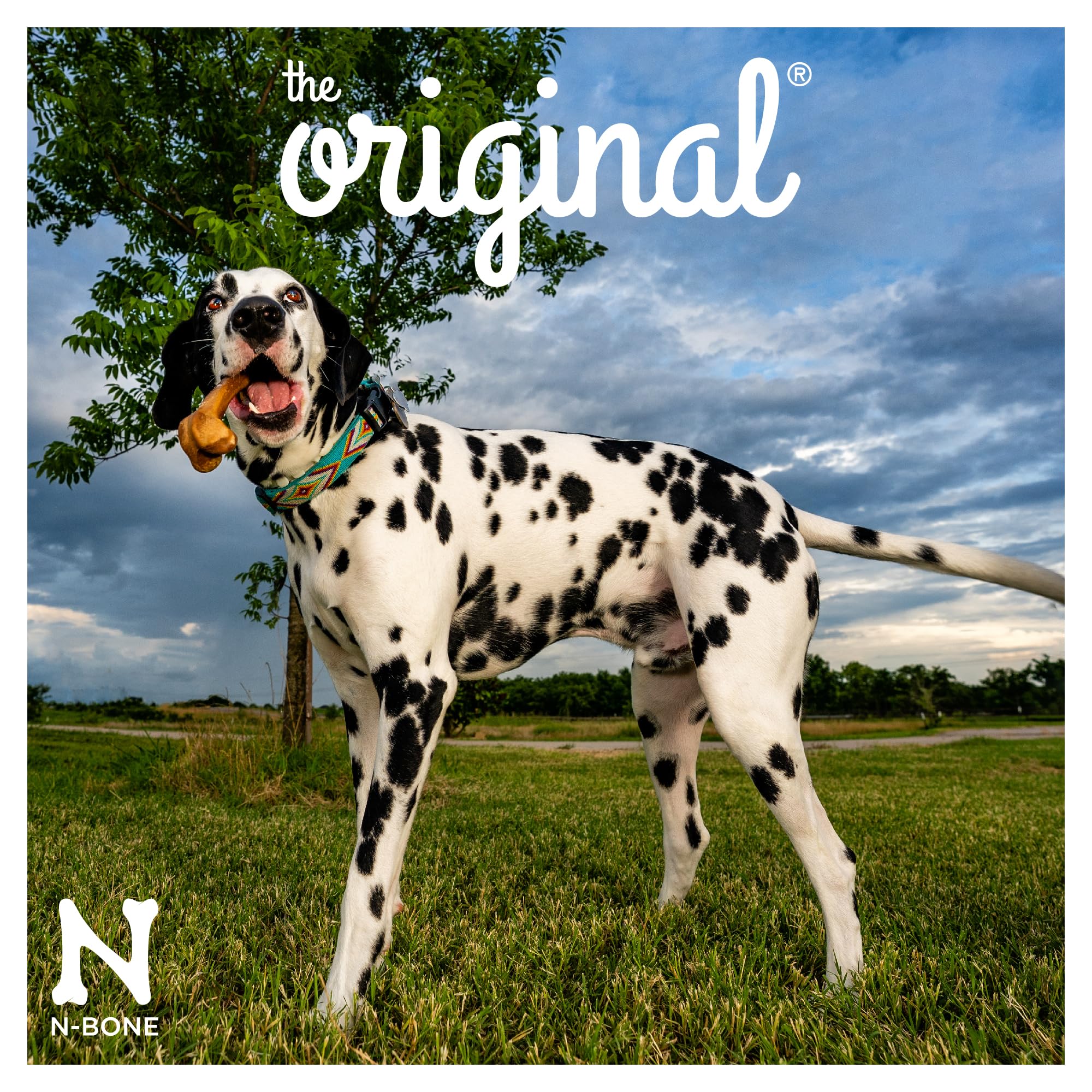 N-Bone The Original Chew Bone Chicken Large