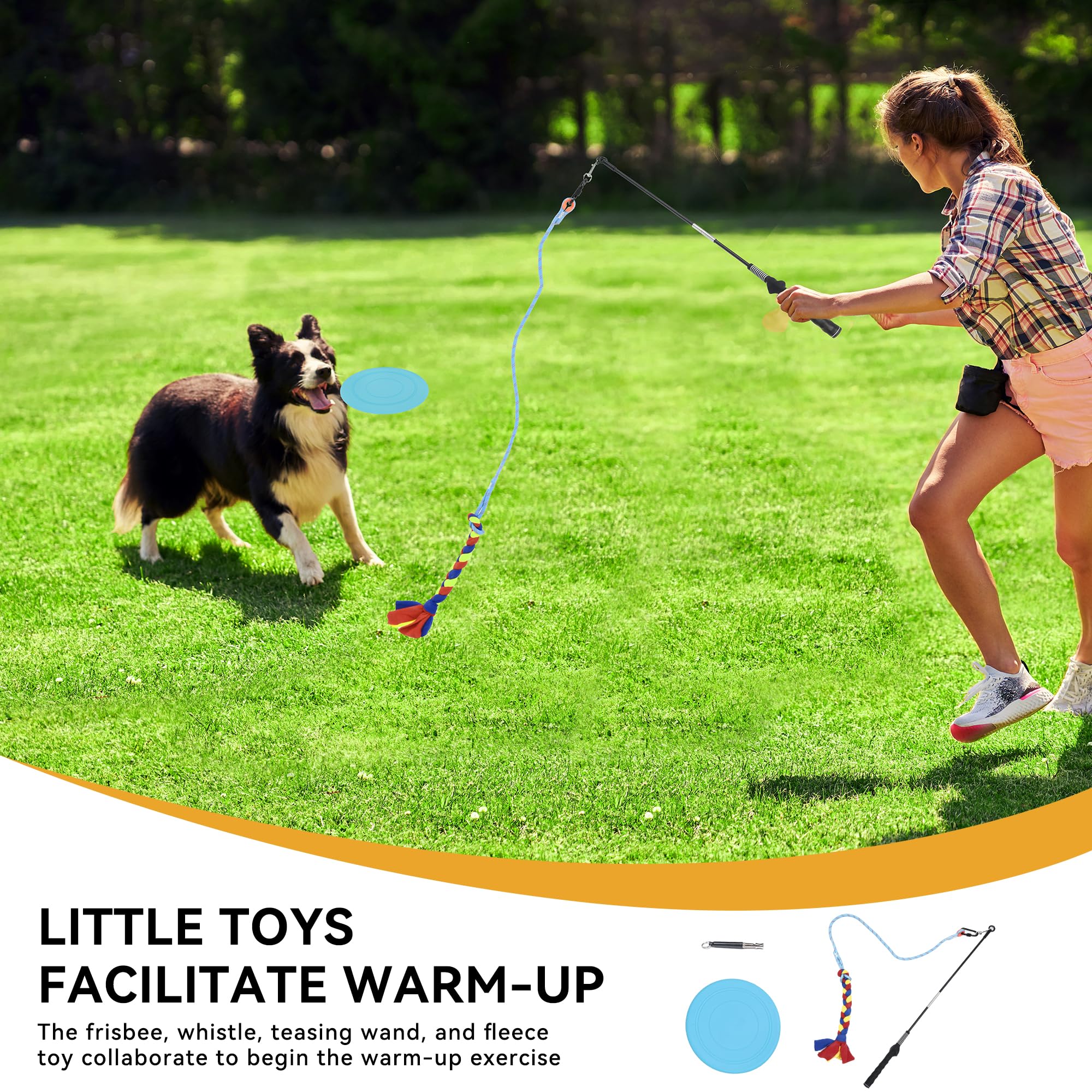 Yitahome Dog Agility Kit: Includes Flirt Pole Accessorie, 2 Hurdles, 3 Frisbees, 6 Weaving Poles, 1 Agility Tunnel, Pause Box, F
