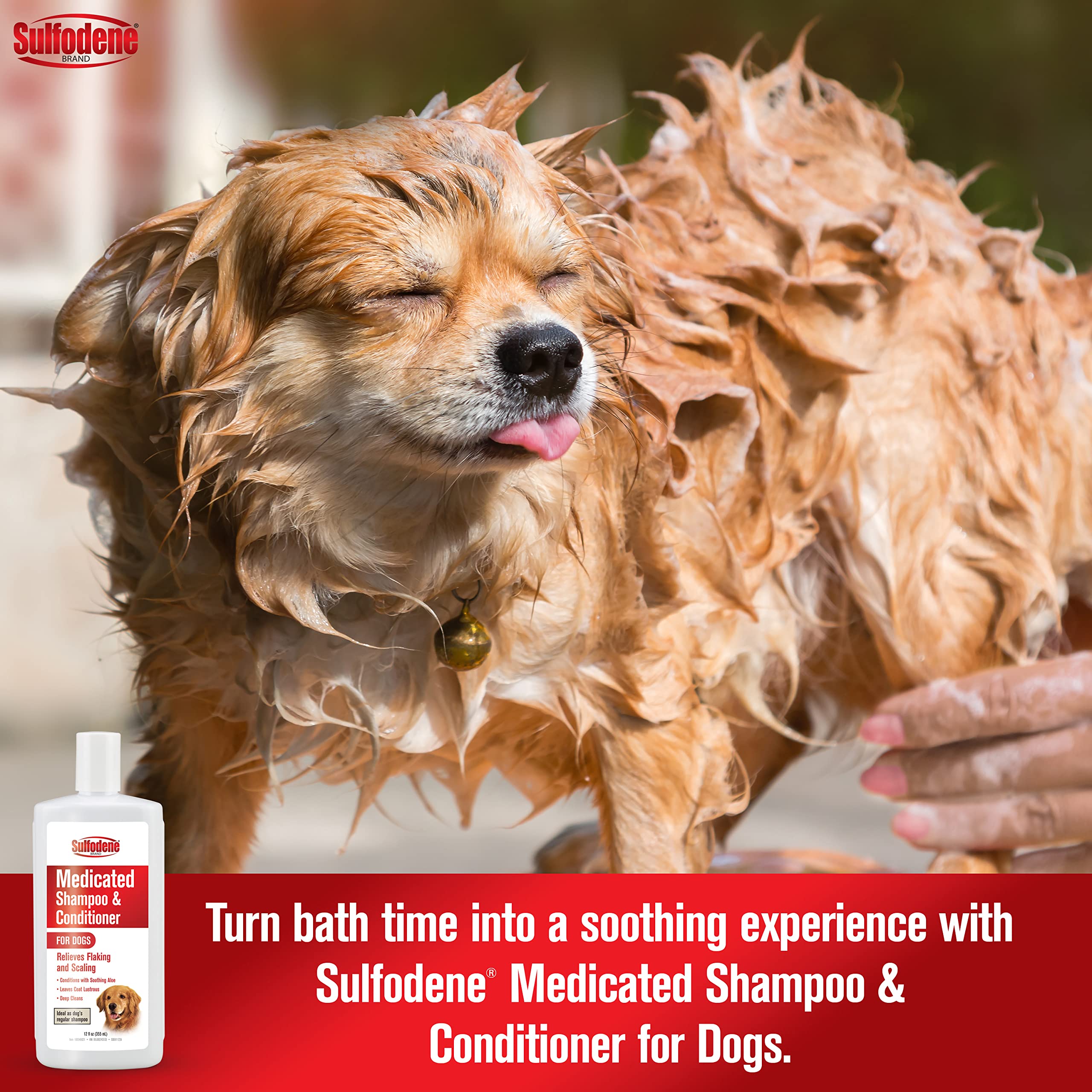 Sulfodene Medicated Shampoo & Conditioner For Dogs 12Oz