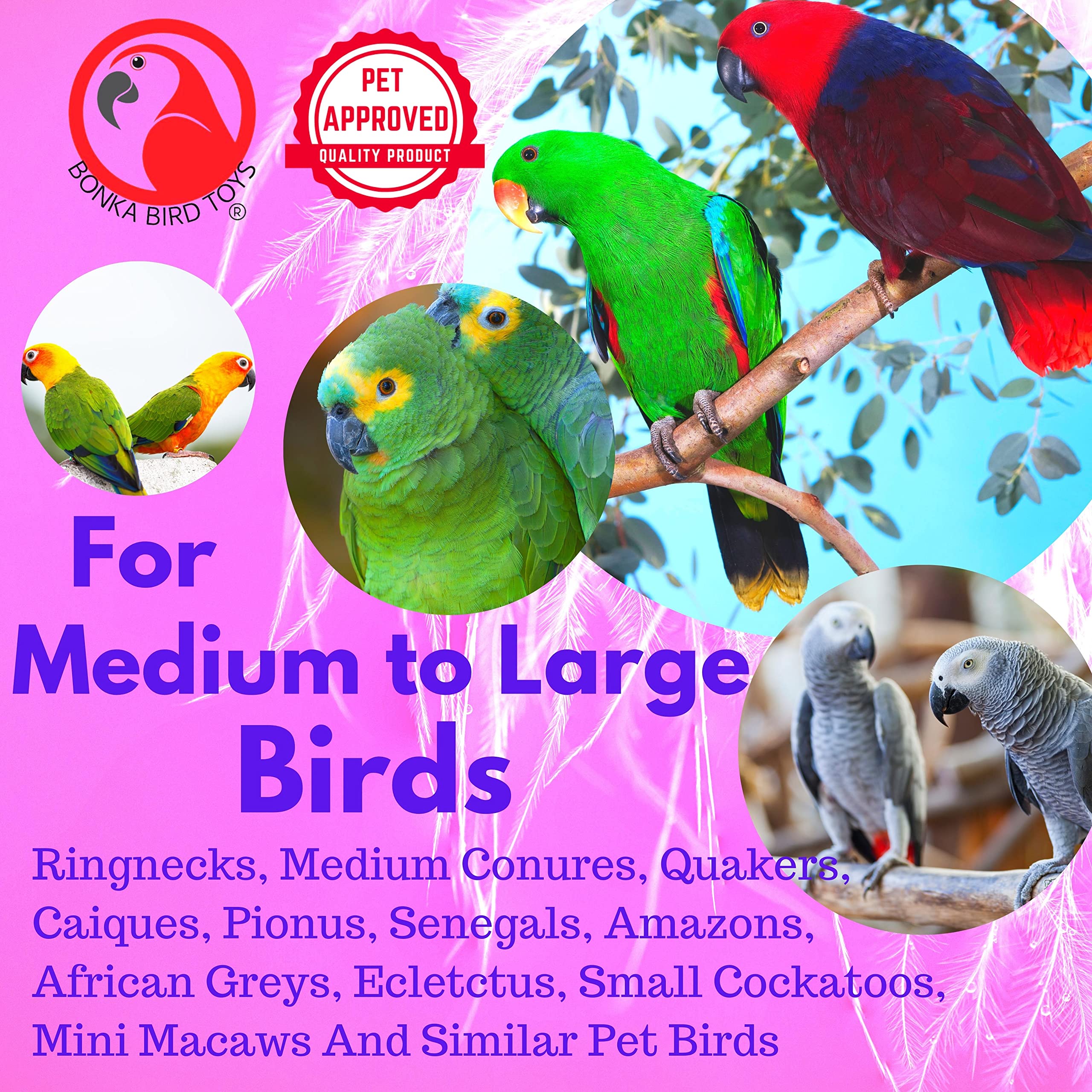 Bonka Bird Toys 1969 Spoon Delight Medium Large Parrot Bird Toy African Grey Parrot Amazon Conure And Similar Birds