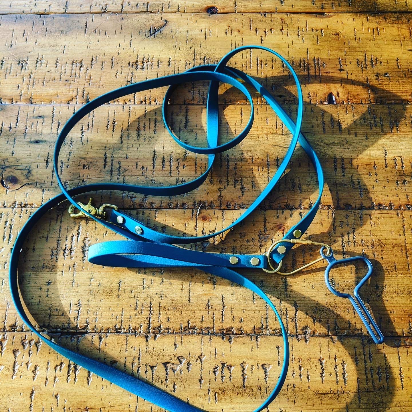 The Dooloop Hands Free Dog Poop Holder - Carry Pet Waste Bag With Attachable Leash Accessory For Dog Walking. Now Made With Recycled/Recyclable Plastic. Maine, Usa (Charcoal)