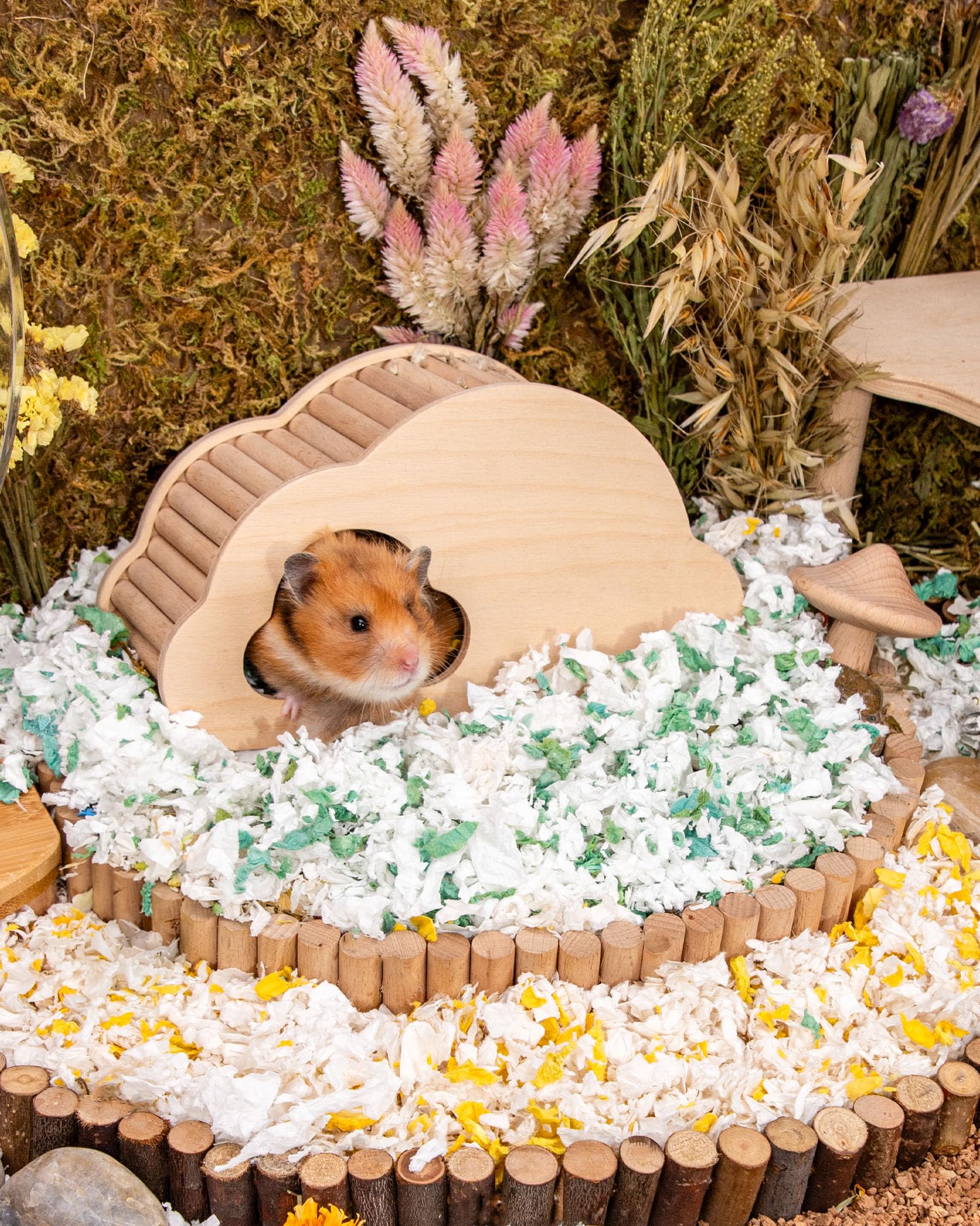 Niteangel Aspen Shaving Hamster Beddings for Syrian Dwarf Hamster Gerbil Mice Degu Rat Rabbit Bunny Guinea Pig Chinchilla Hedgeh