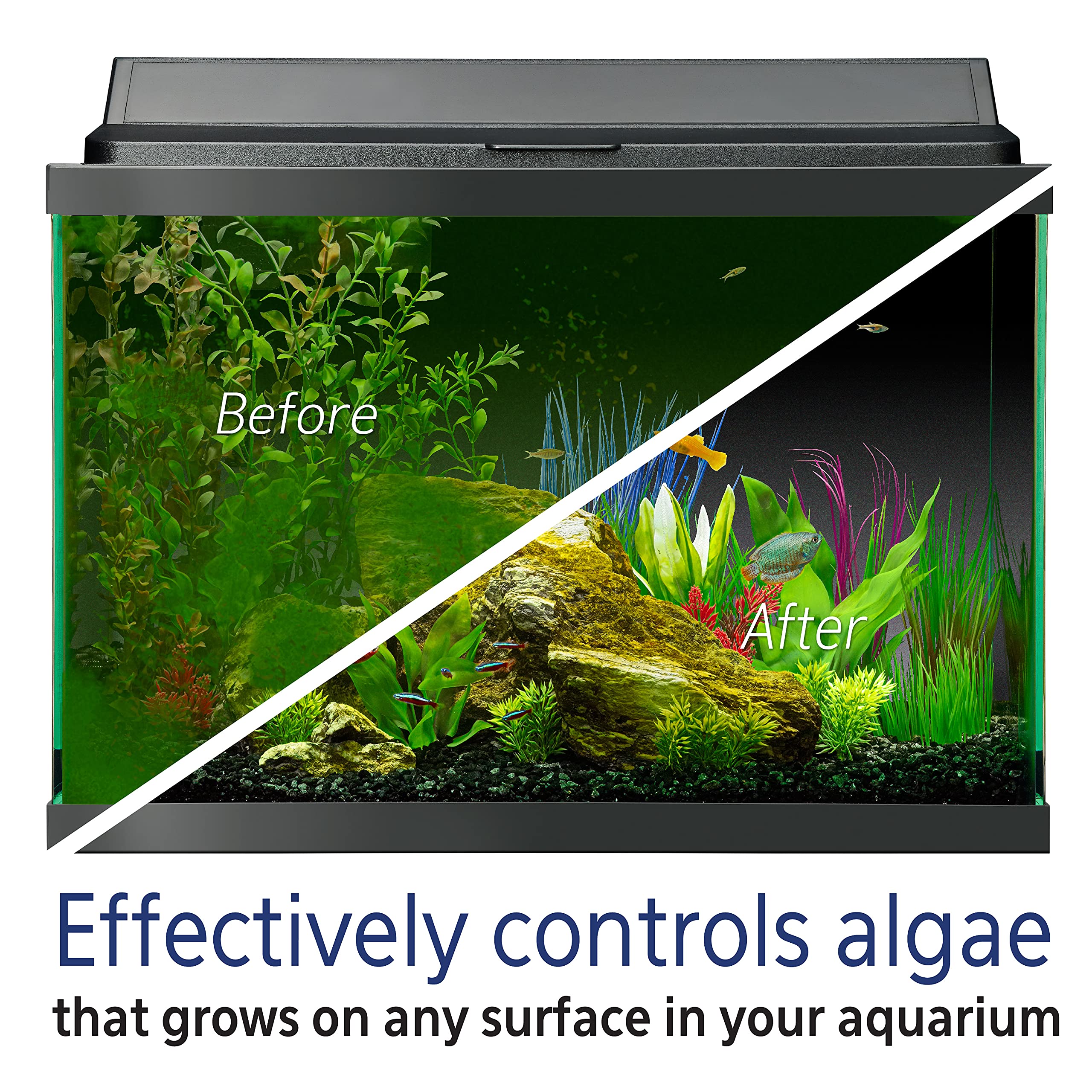 Aqueon Fish Tank Aquarium Algae Remover, 4 oz