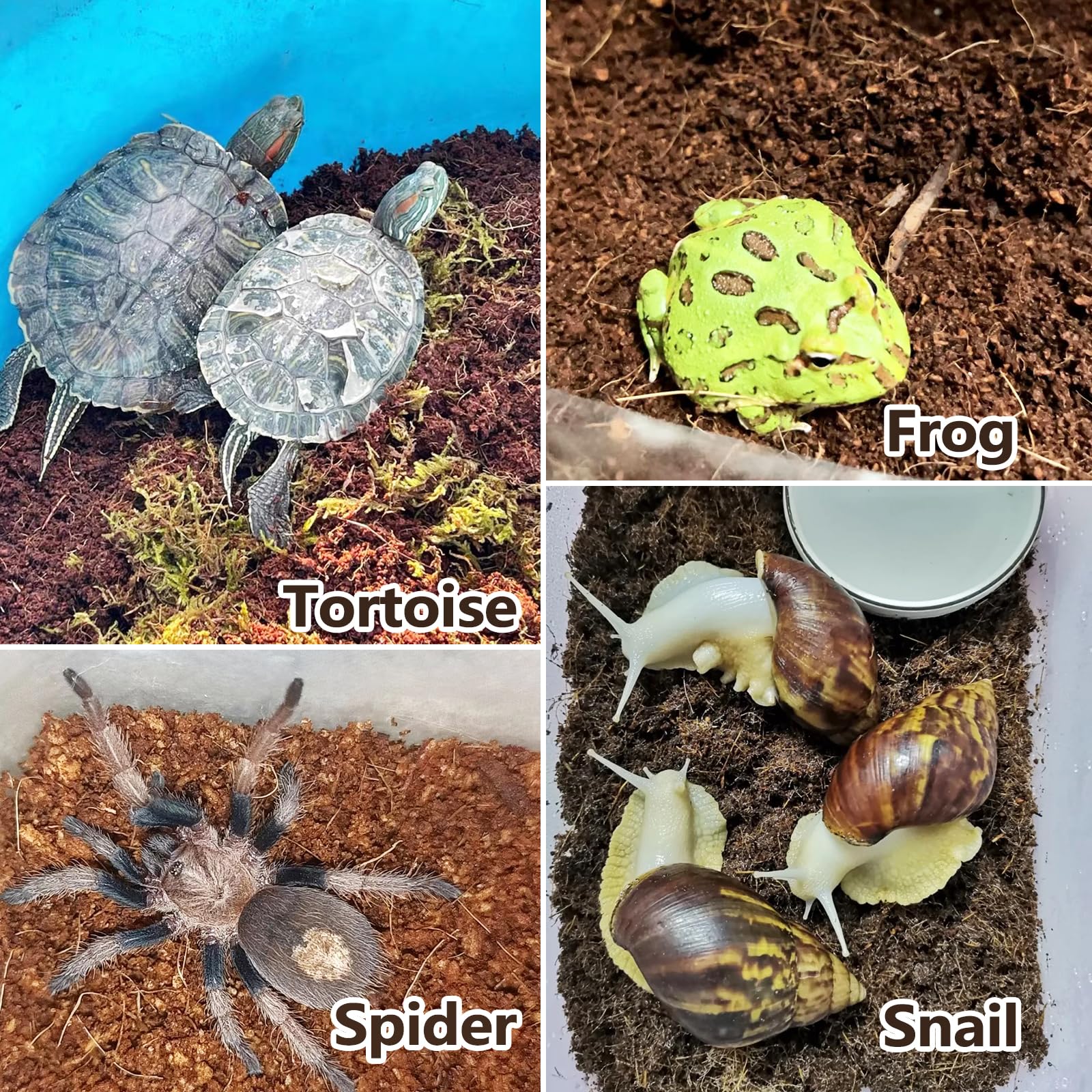 Bnosdm Reptile Soil Substrate,Natural Terrarium Bedding,Snake Bedding,Fluffy Reptile Tank Substrate For Tortoise Hermit Crab Tar