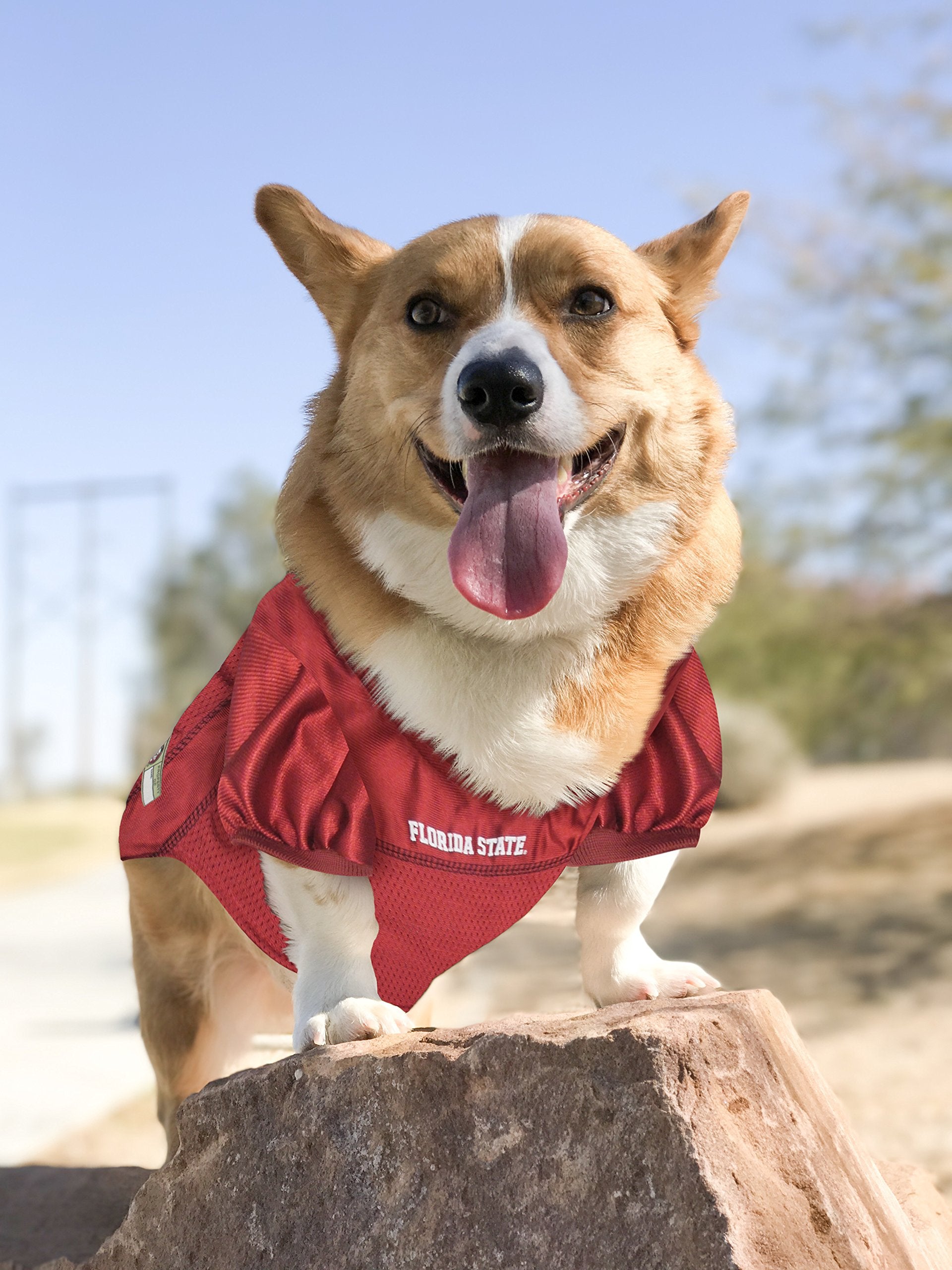 Pets First NCAA College Florida State Seminoles Mesh Jersey for DOGS & CATS, X-Large. Licensed Dog Jersey with your Favorite Foo