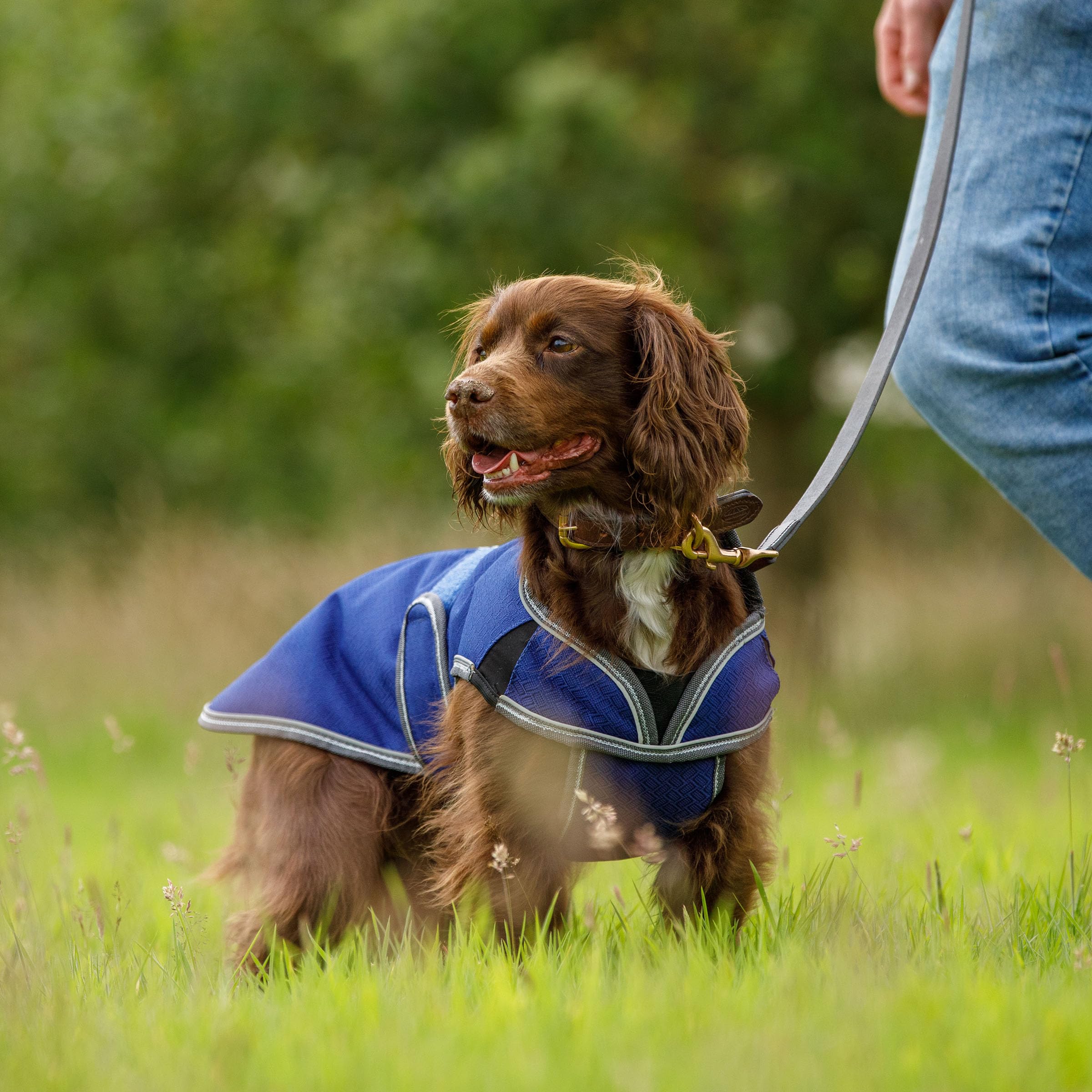 Weatherbeeta Comfitec Premier Free Parka Deluxe Dog Coat Medium, Dark Blue/Grey/White, 32'
