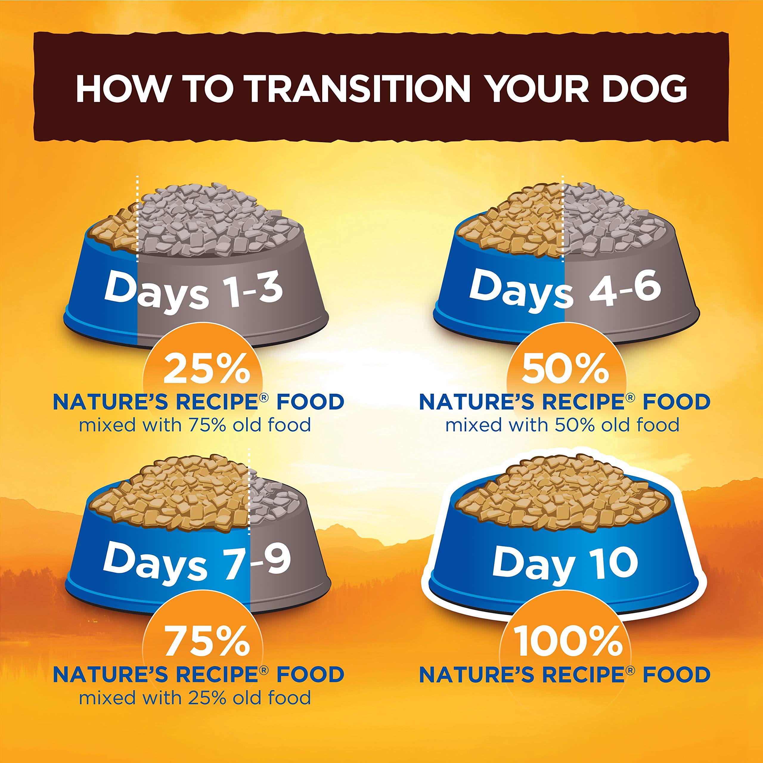 NatureS Recipe Grain Free Chicken, Sweet Potato & Pumpkin Recipe Dry Dog Food, 4 Lb. Bag