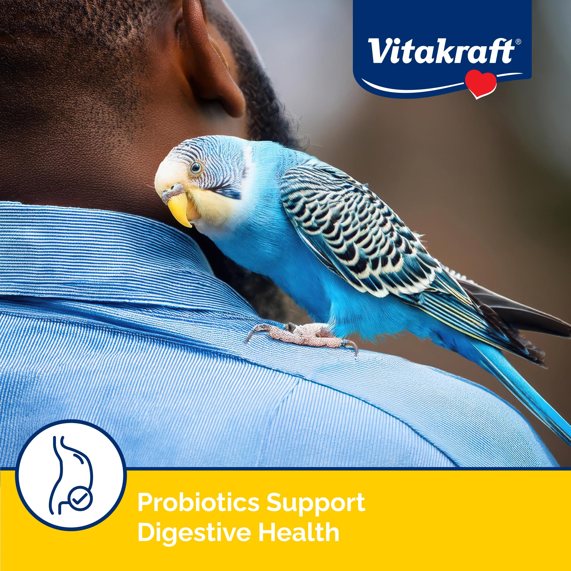 Vitakraft Vita Smart Gourmet Parakeet Food - Vitamin-Fortified - Daily Pet Bird Food 2 Pound (Pack of 1)