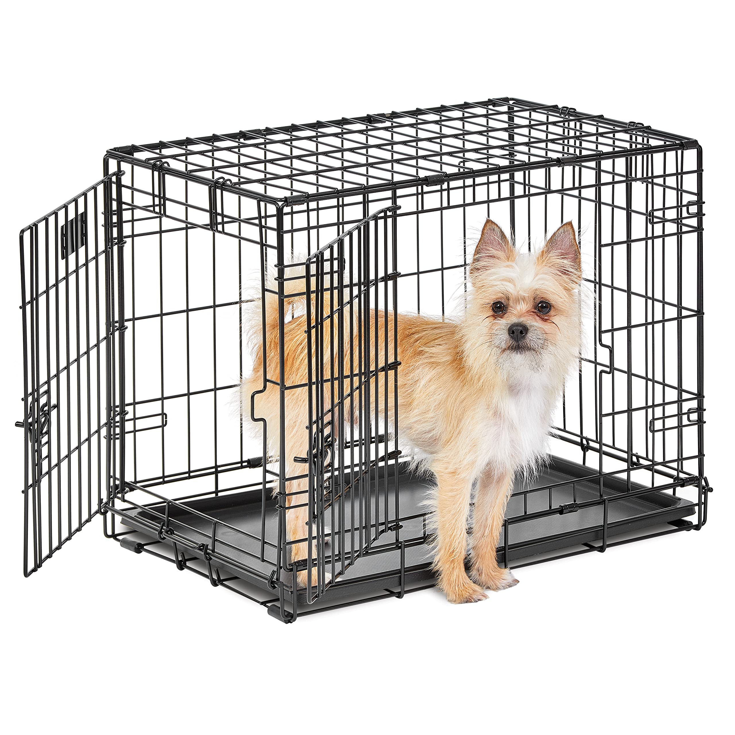 Midwest Homes For Pets Small Dog Crate, Life Stages 24' Double Door Folding Metal Dog Crate | Divider Panel, Floor Protecting Feet, Leak-Proof Dog Pan| 24L X 18W X 19H Inches, Small Dog Breed
