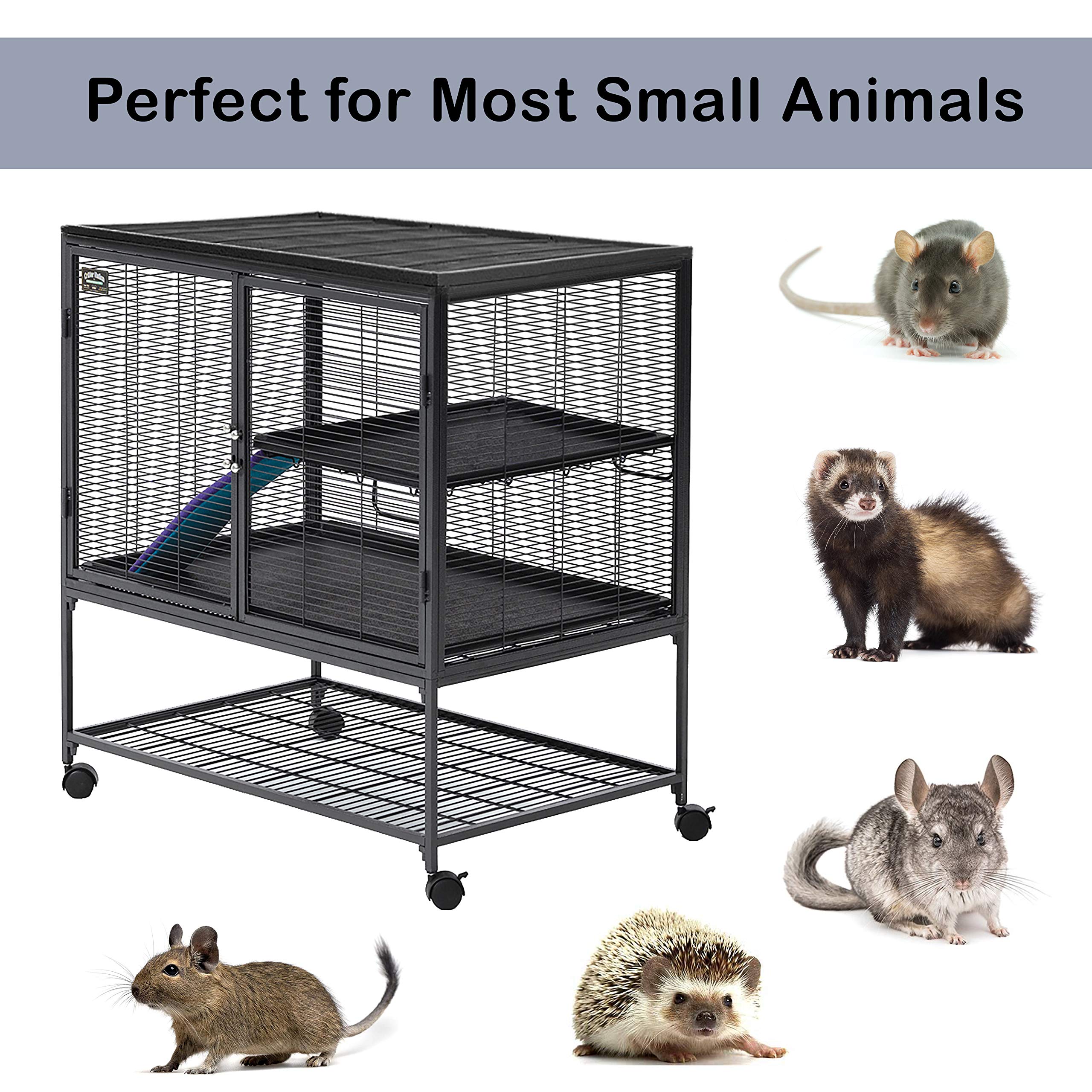 Midwest Homes For Pets Deluxe Critter Nation Single Unit Small Animal Cage (Model 161) Includes 1 Leak-Proof Pans, 1 Shelf, 1 Ra