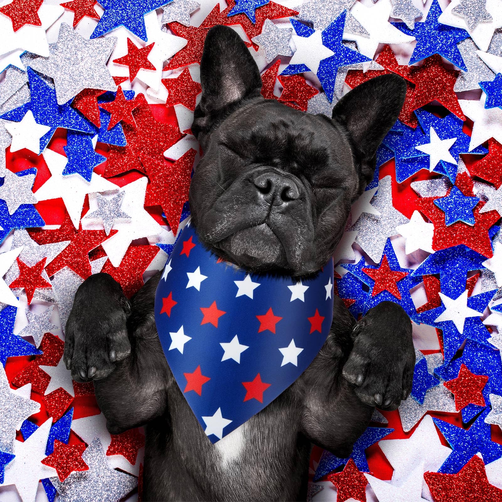 Preboun 50 Pieces Patriotic Dog Bandanas Bulk Star Bandanas For Dog Pet Kerchief Set Triangle Scarf For Memorial Day Puppy Small