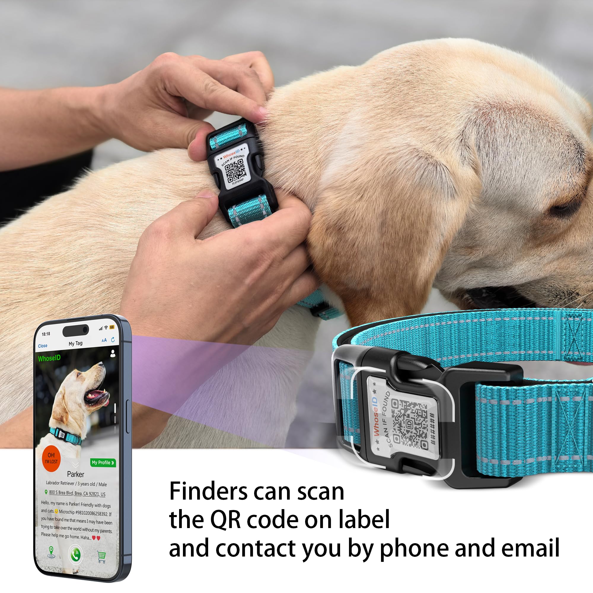 Airtag Dog Collar With Qr Code, Soft Padded, Reflective, Adjustable With Safety Lock Buckle - Small (Blue, With Airtag Holder)