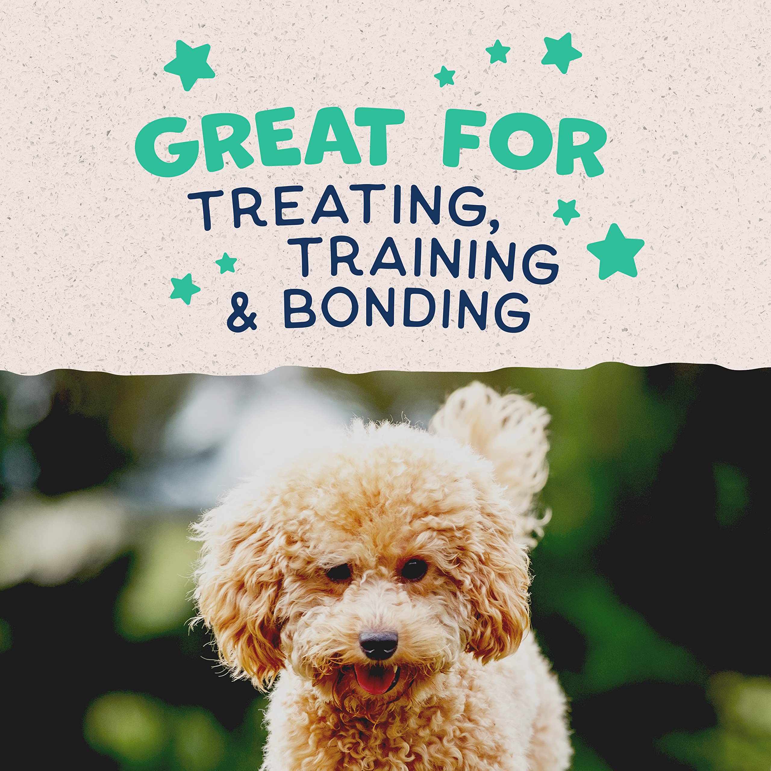 Natural Balance Limited Ingredient Diets Mini Rewards Soft and Chewy Dog Treats (Chicken, 3 Pack / 5.3-Ounces Each)