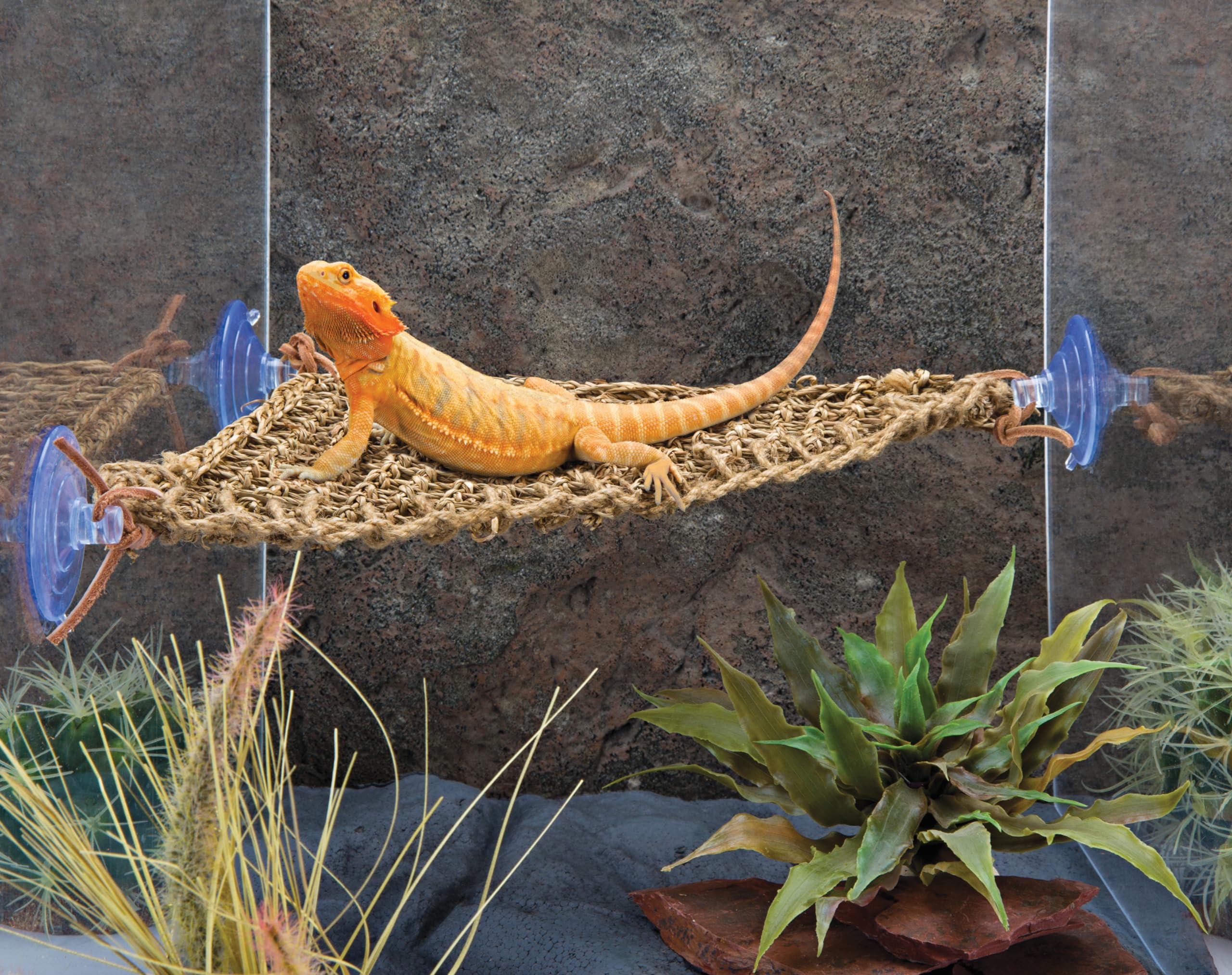 Penn-Plax Reptology Lizard Lounger Corner Triangle - 100% Natural Seagrass Fiber - Great For Bearded Dragons, Anoles, Geckos, Ig