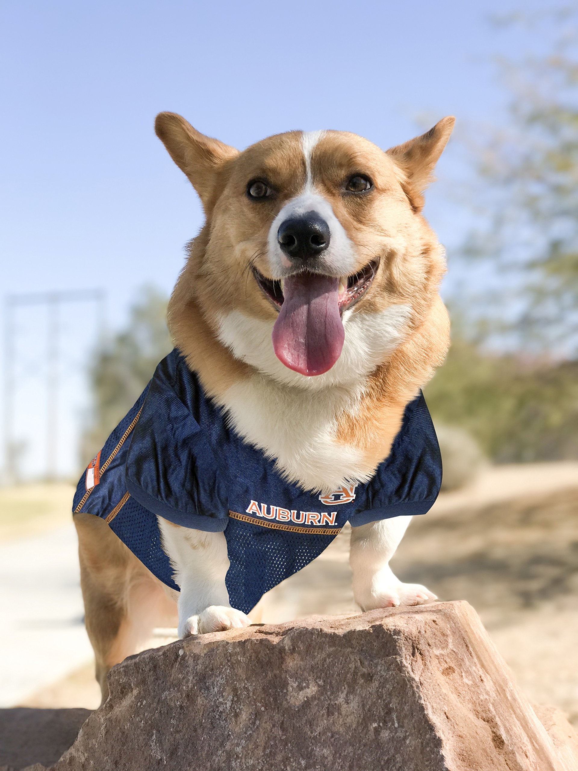 Pets First NCAA College AUburn Tigers Mesh Jersey for DOGS & CATS, X-Small.Licensed Dog Jersey with your Favorite Football/Baske