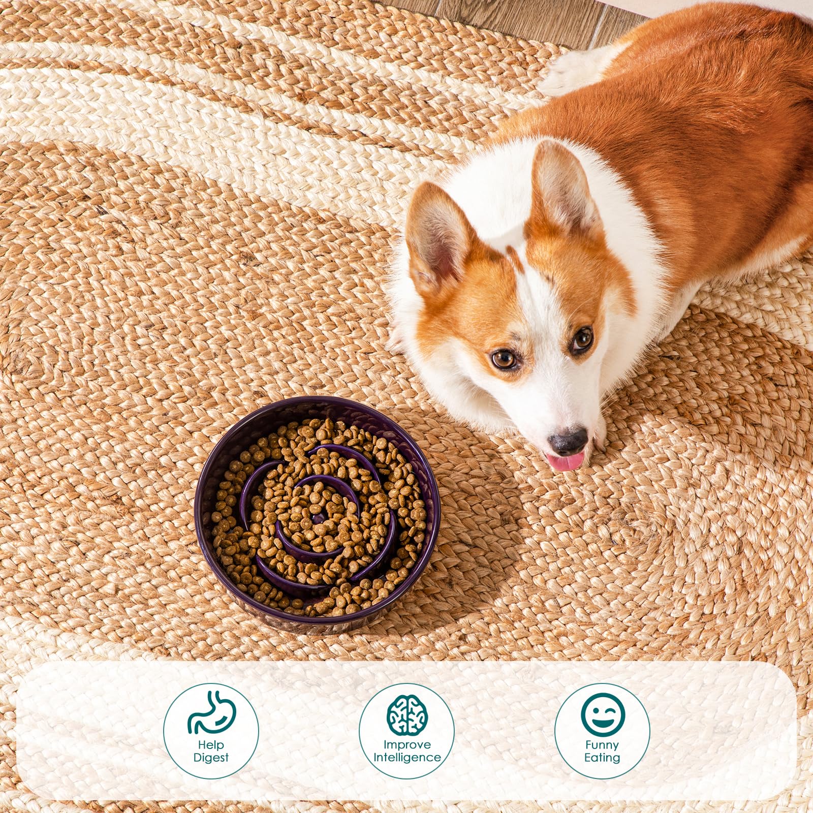 vancasso Slow Feeder Dog Bowl, 1.5 Cups Ceramic Slow Feeder for Medium Breed, Puzzle Maze Food Dog Bowl for Fast Eater, Dark Pur