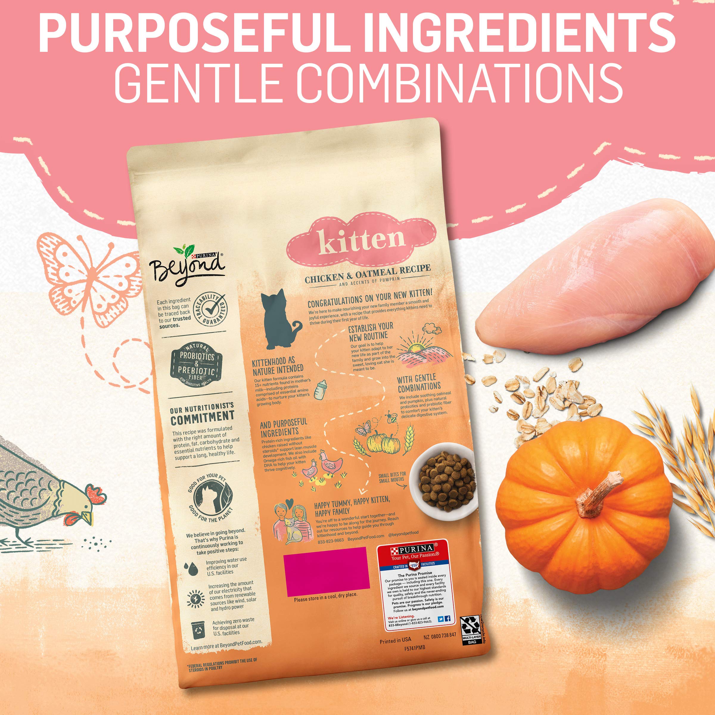 Purina Beyond High Protein, Natural Kitten Food, Kitten Chicken & Oatmeal Recipe - 5 lb. Bag