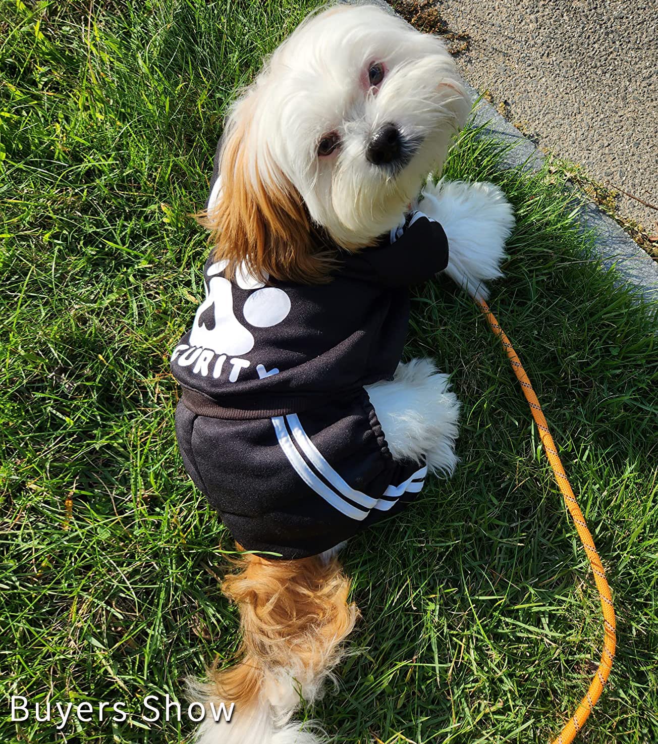 Otunrues Dog Hoodie, Dog Clothes Pullover 4 Legs Dog Jumpsuit Fleece Sweatshirt Security Patterns Dog Outfit Doggie Winter Coat Puppy Hoodied For Small Medium Large Dogs Cats Apparel(Black, Xxs)